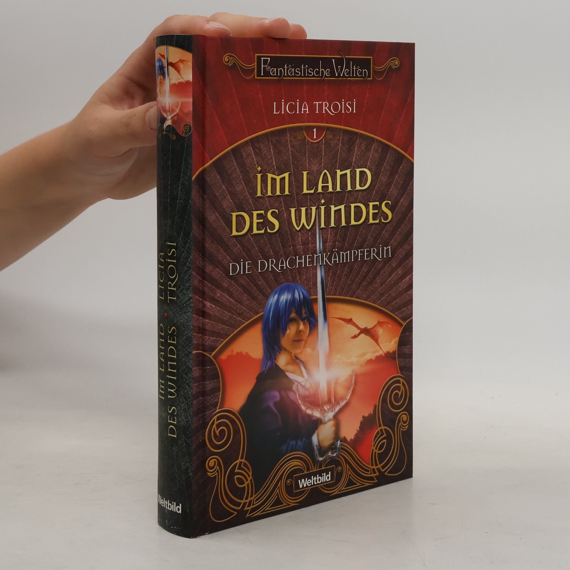 Licia Troisi Die Drachenkämpferin. Im Land des Windes