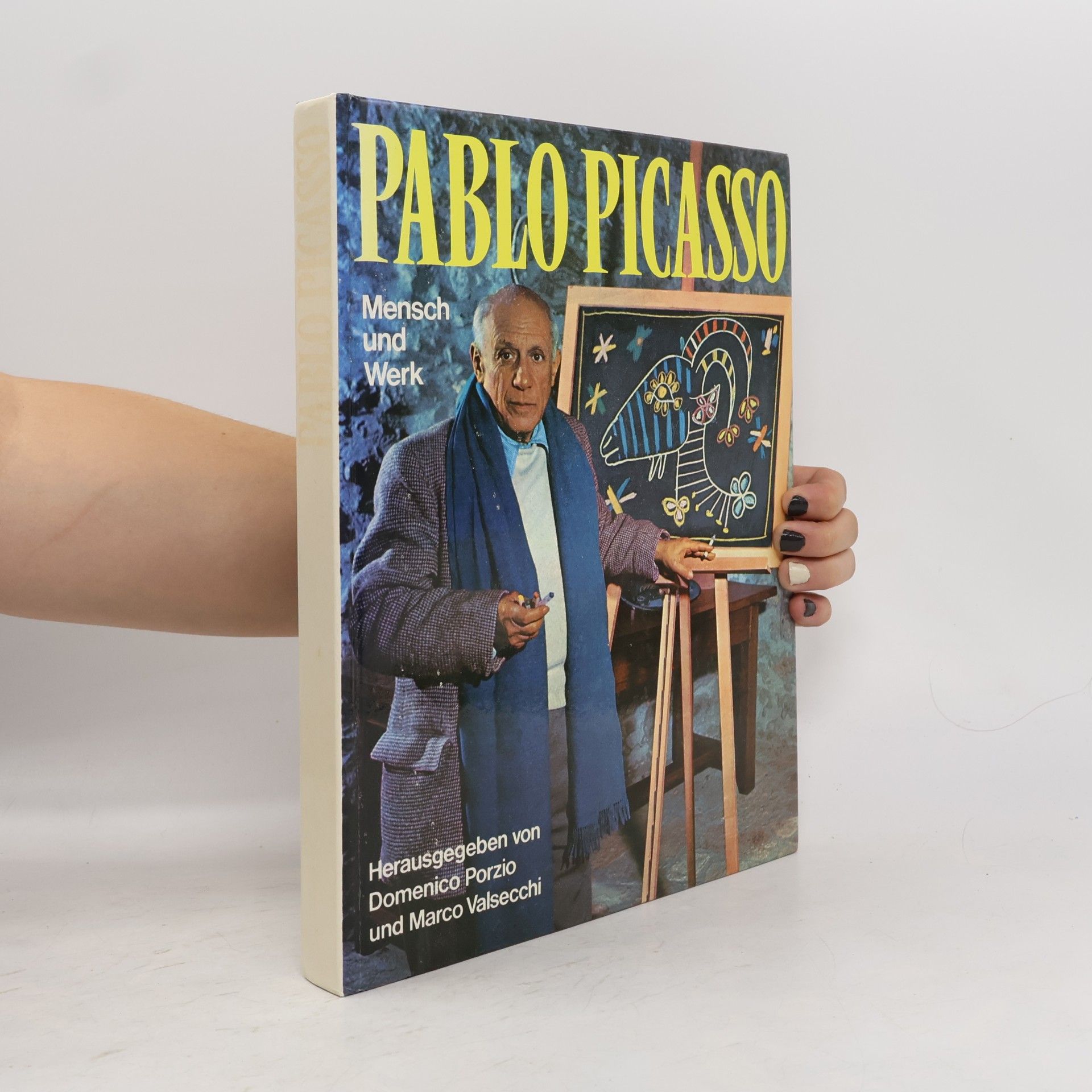 Domenico Porzio Pablo Picasso: Mensch und Werk