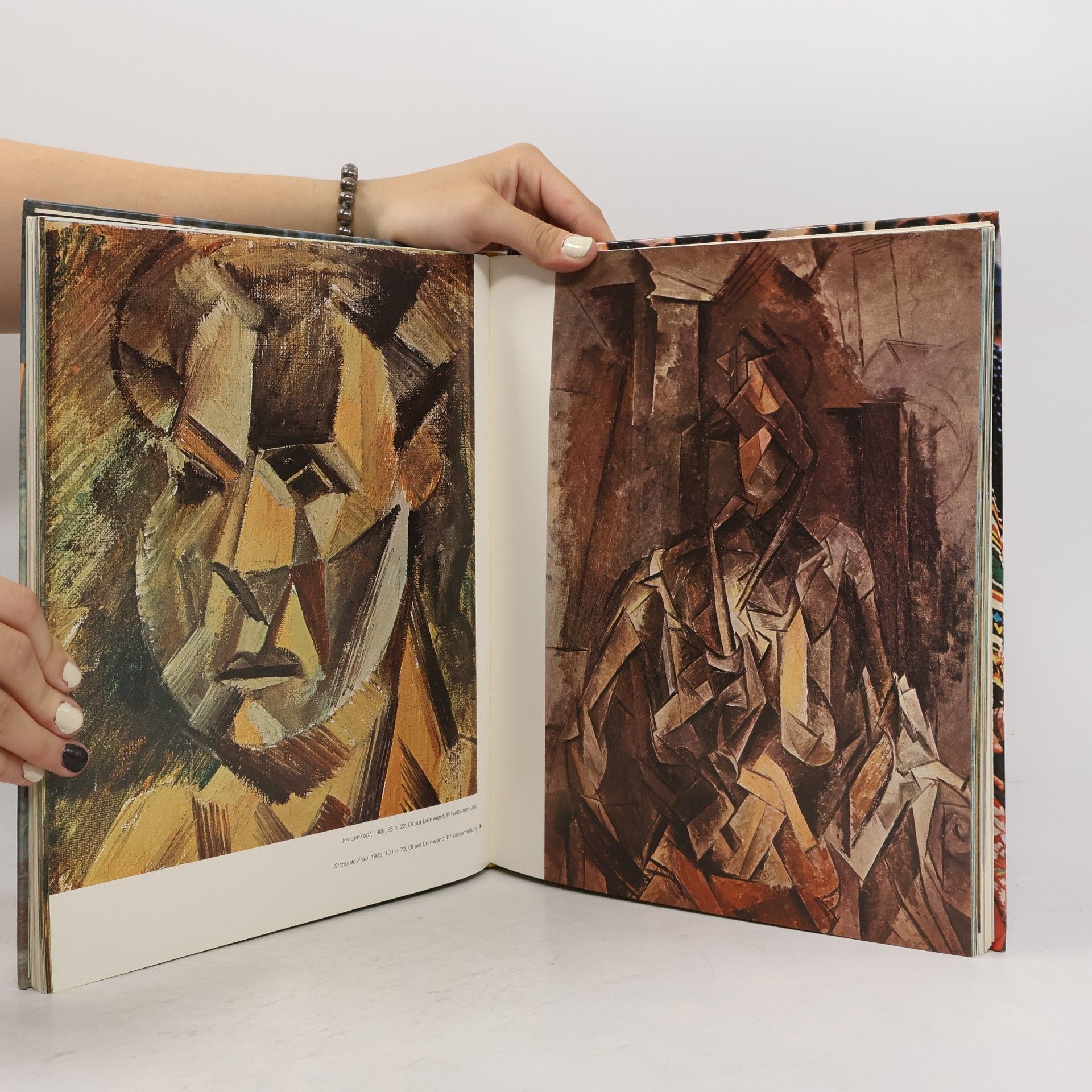 Domenico Porzio Pablo Picasso: Mensch und Werk