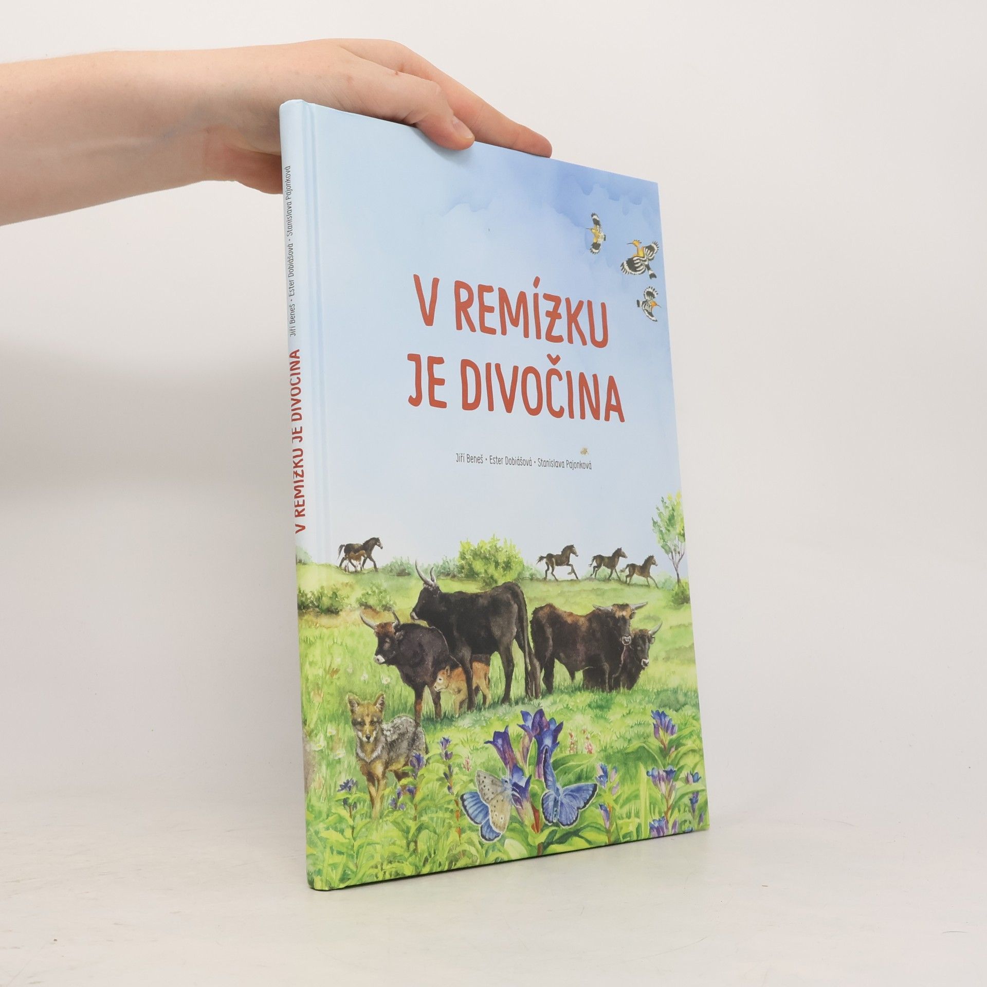 V remízku je divočina