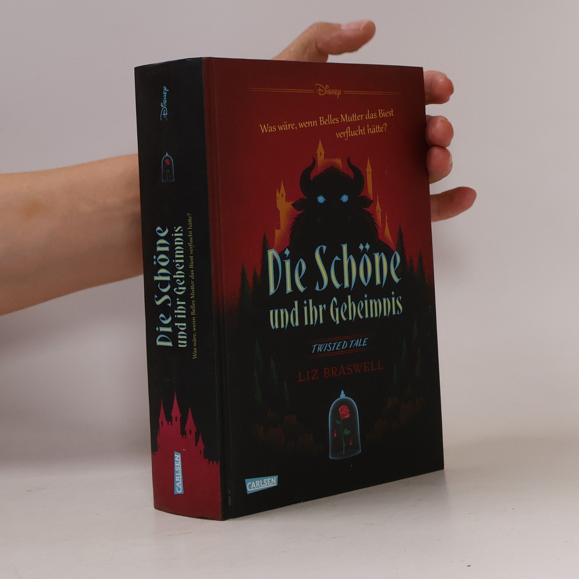Elizabeth J. Braswell Die Schöne und ihr Geheimnis