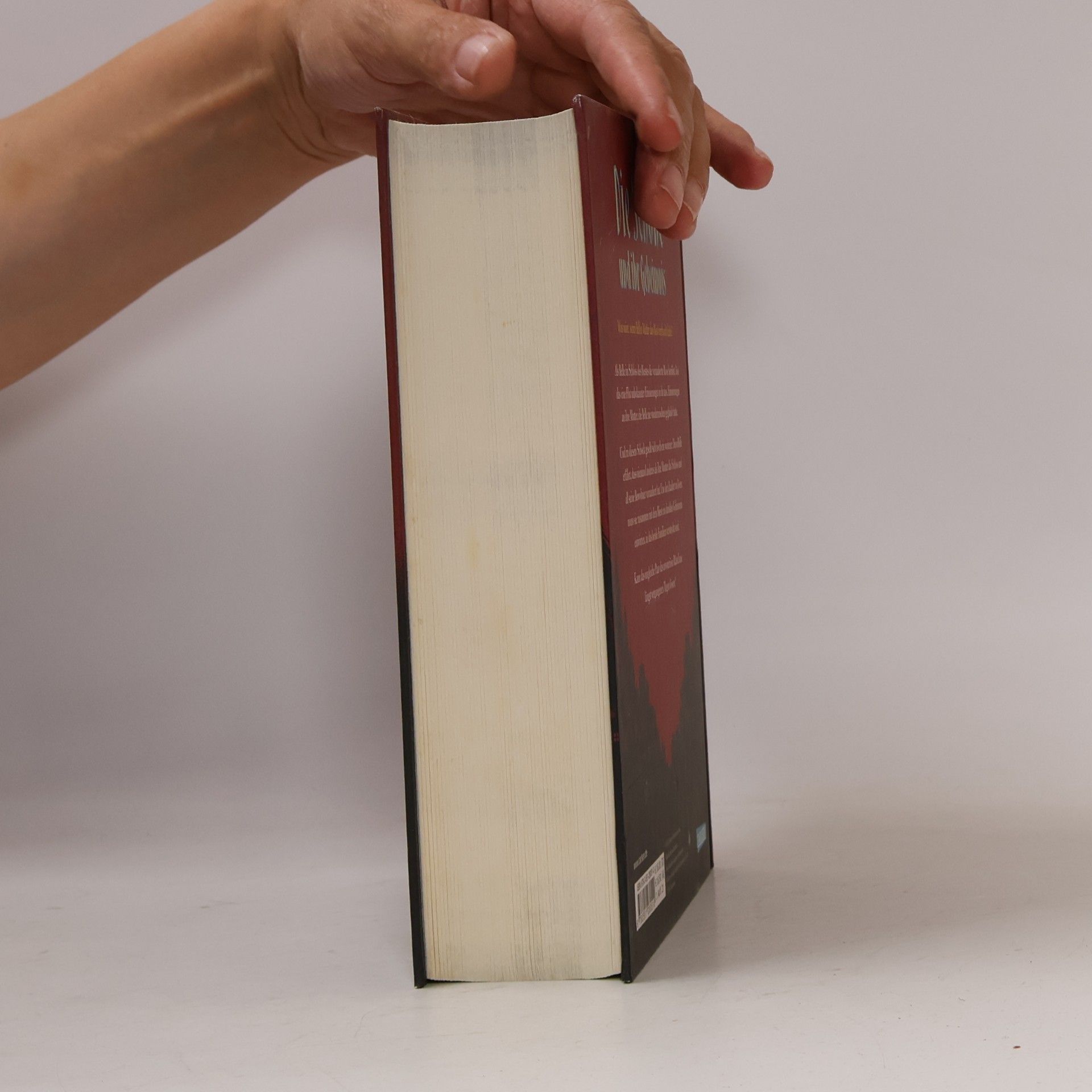Liz Braswell Die Schöne und ihr Geheimnis