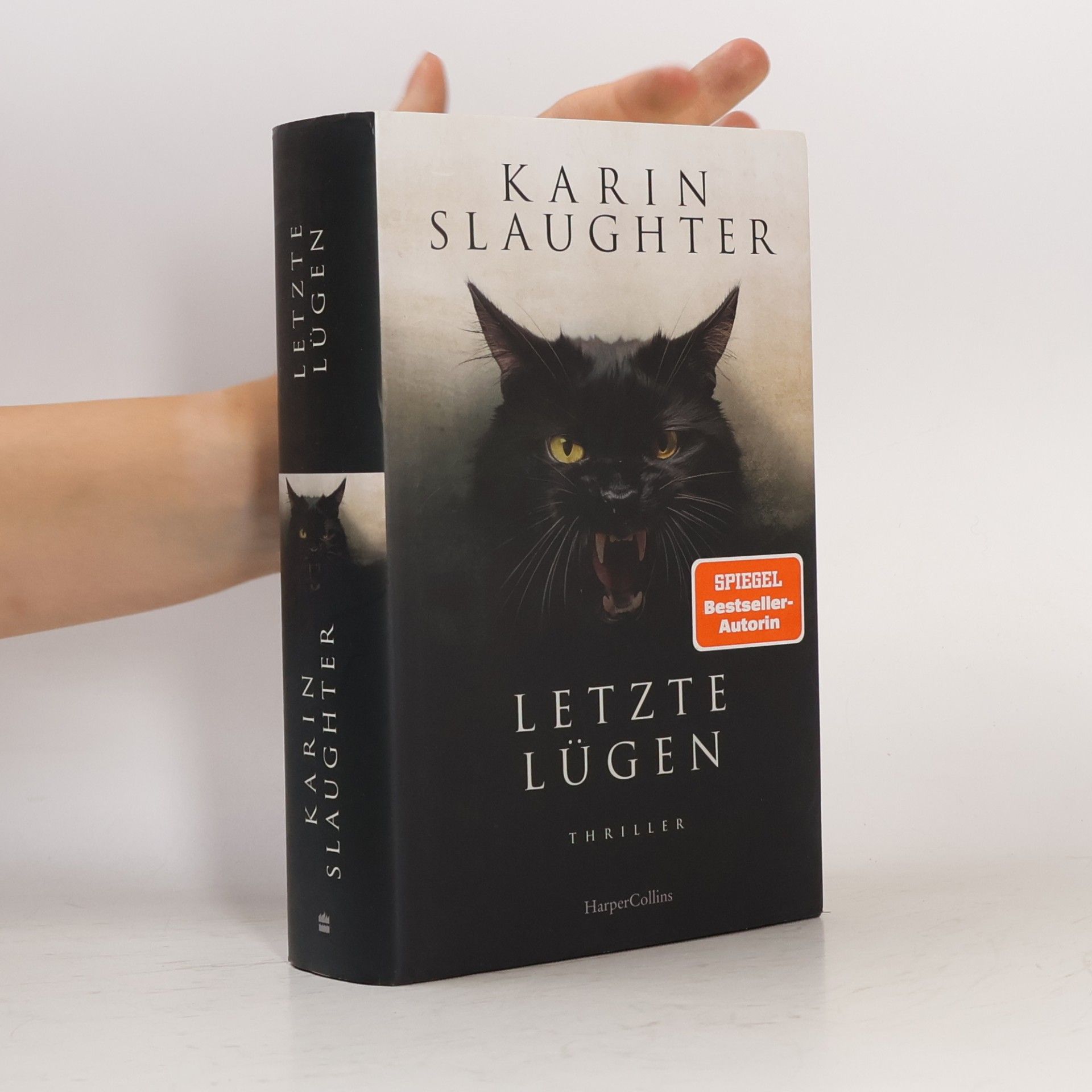Karin Slaughter Letzte Lügen