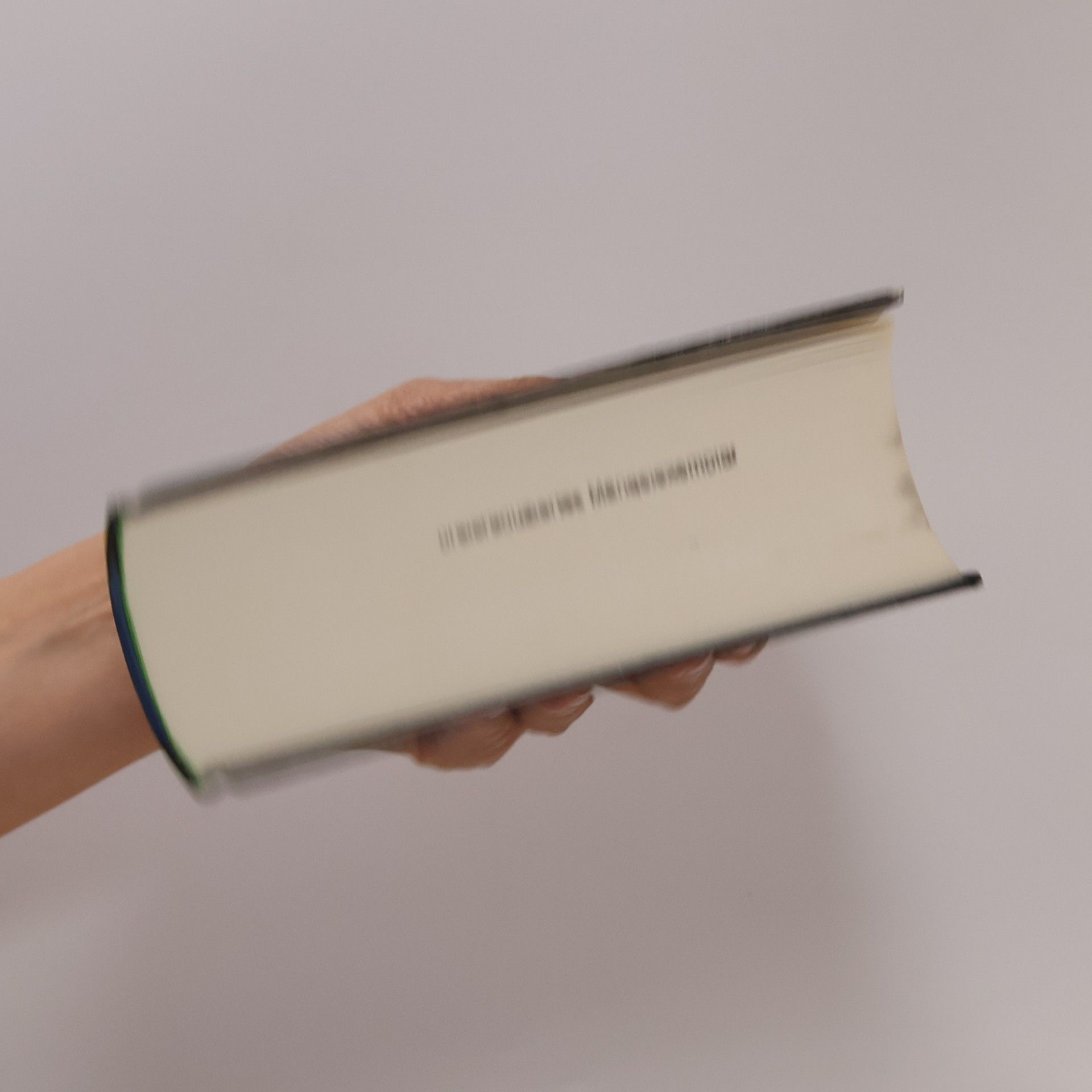 Elizabeth J. Braswell Wie ein Unendlicher Traum