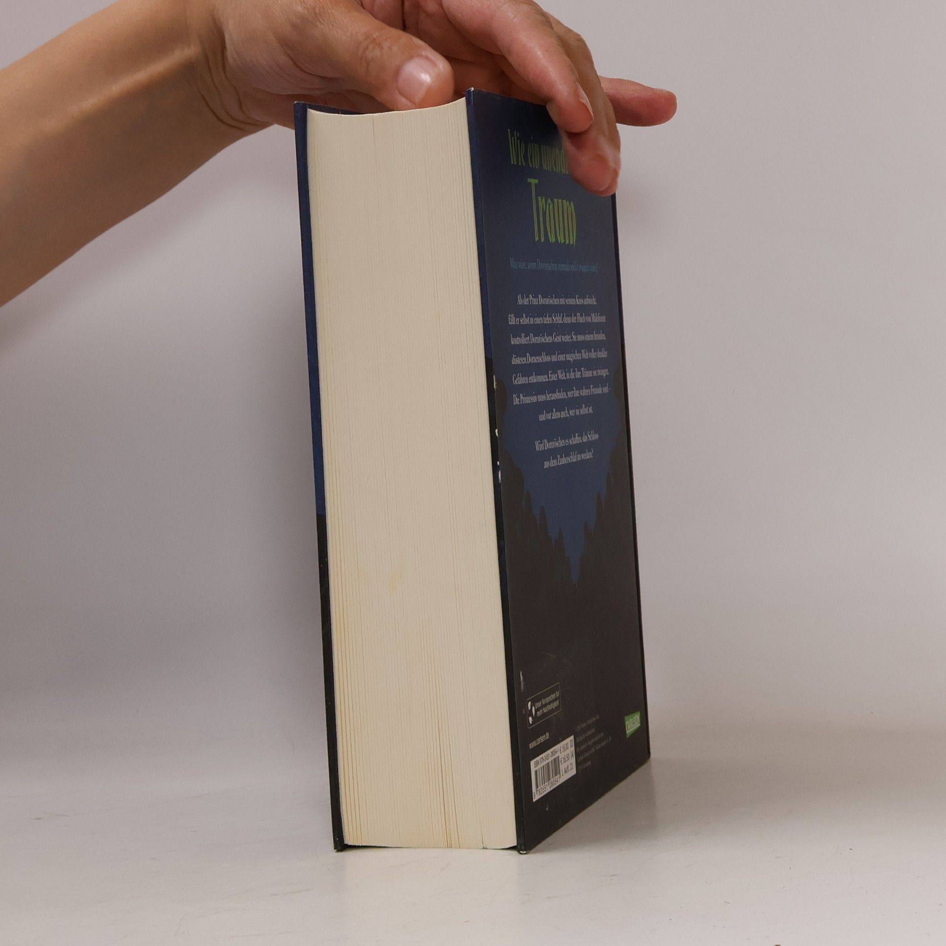Elizabeth J. Braswell Wie ein Unendlicher Traum