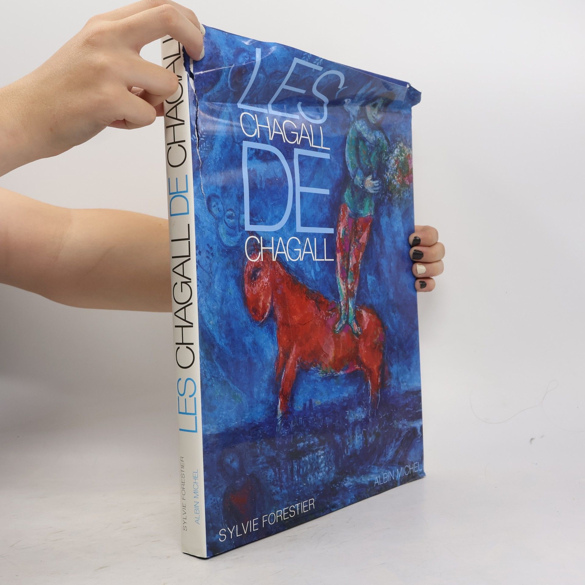 Sylvie Forestier Les Chagall de Chagall