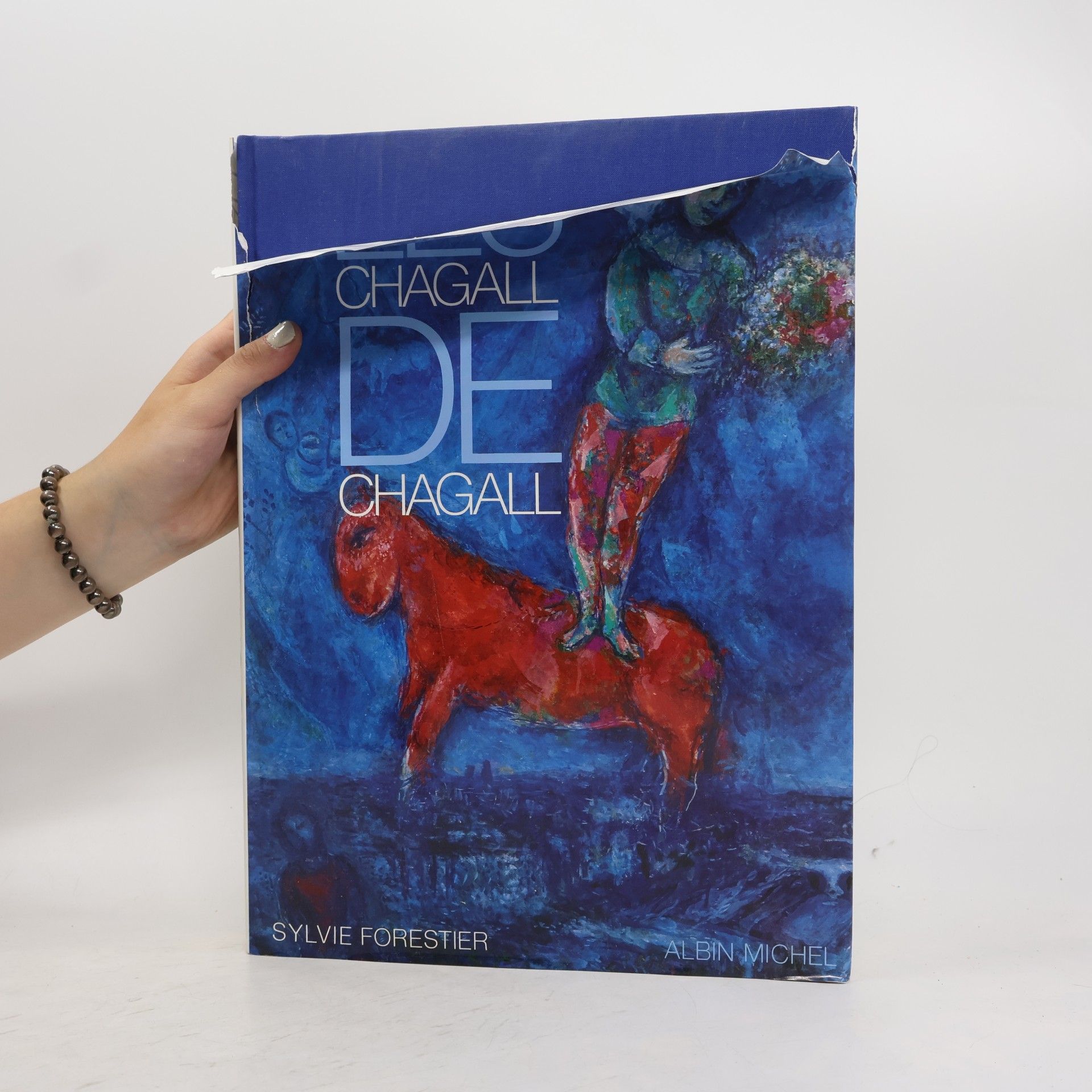 Sylvie Forestier Les Chagall de Chagall