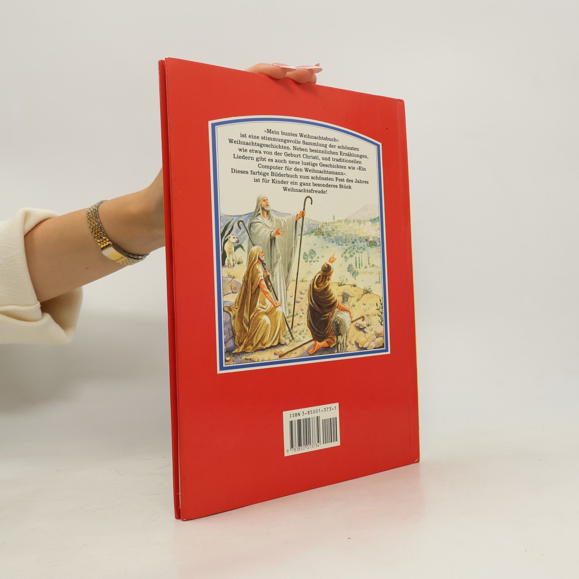 Various authors Mein buntes Weihnachts-Buch