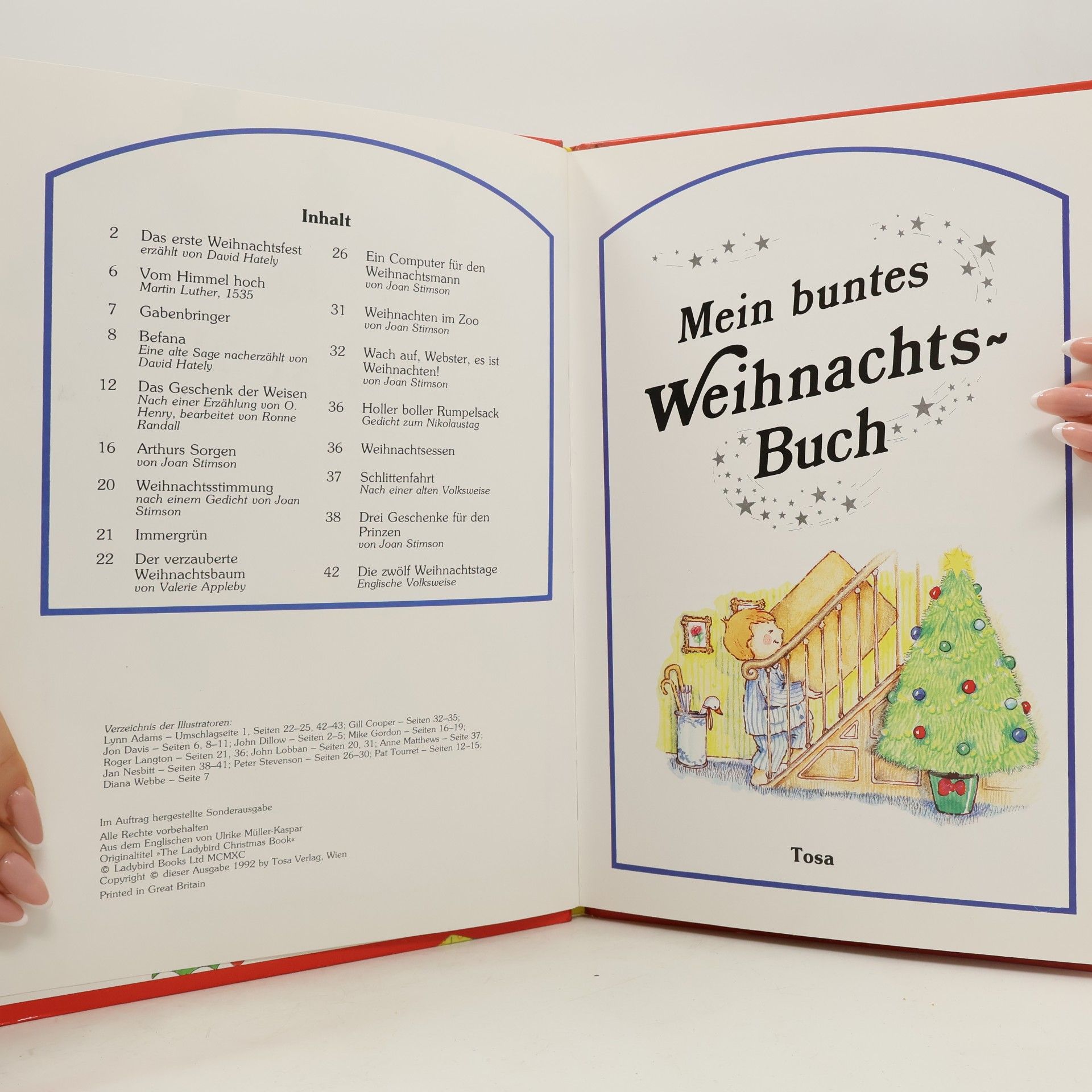 Various authors Mein buntes Weihnachts-Buch