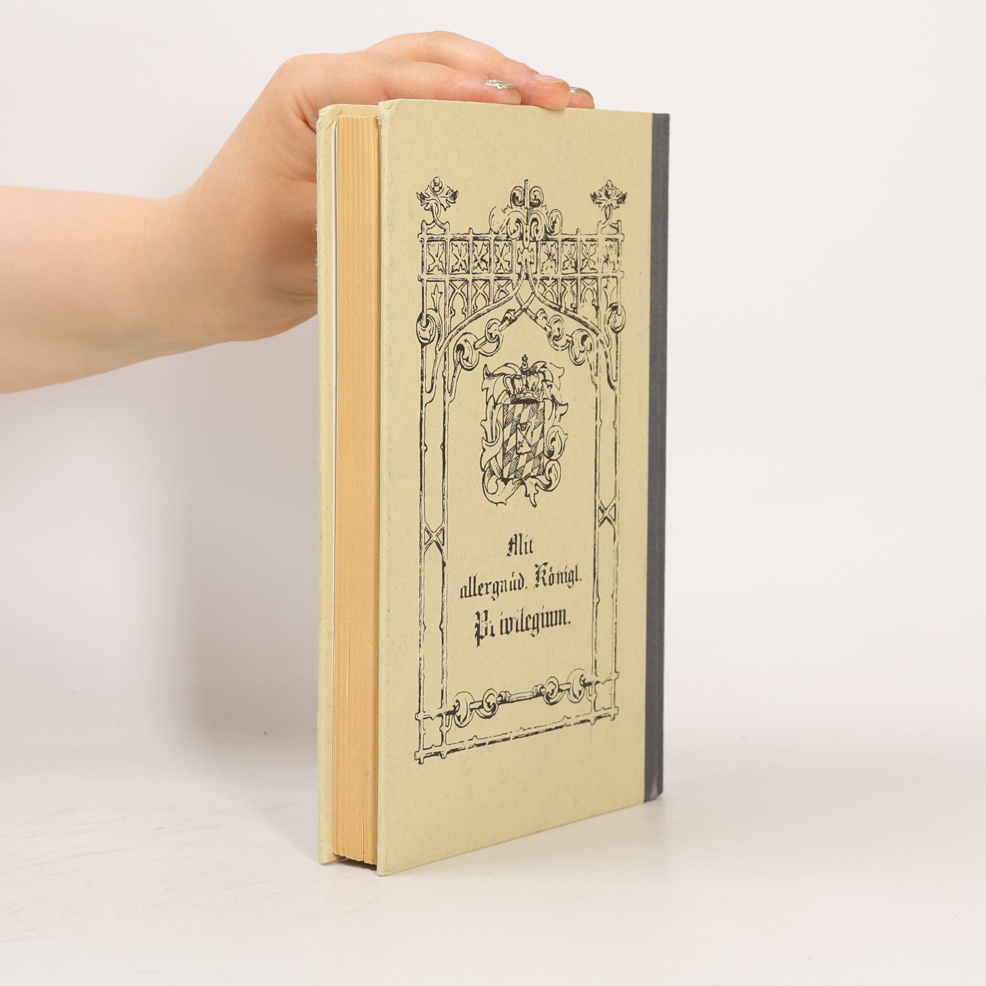 Kolektiv autorů Adressbuch von München