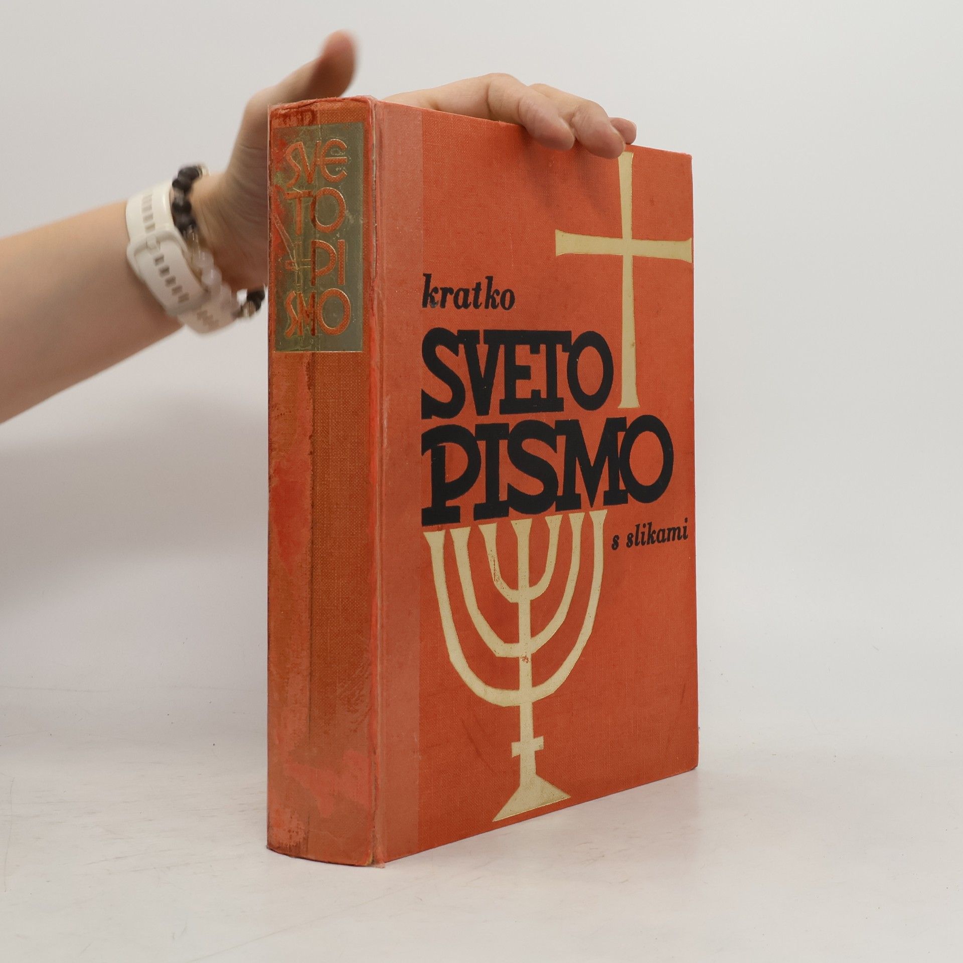 AA.VV. Kratko sveto pismo s slikami