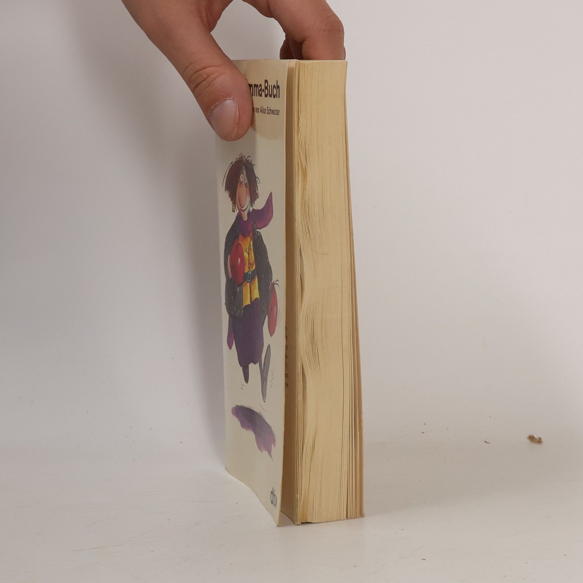 Alice Schwarzer Das neue Emma-Buch
