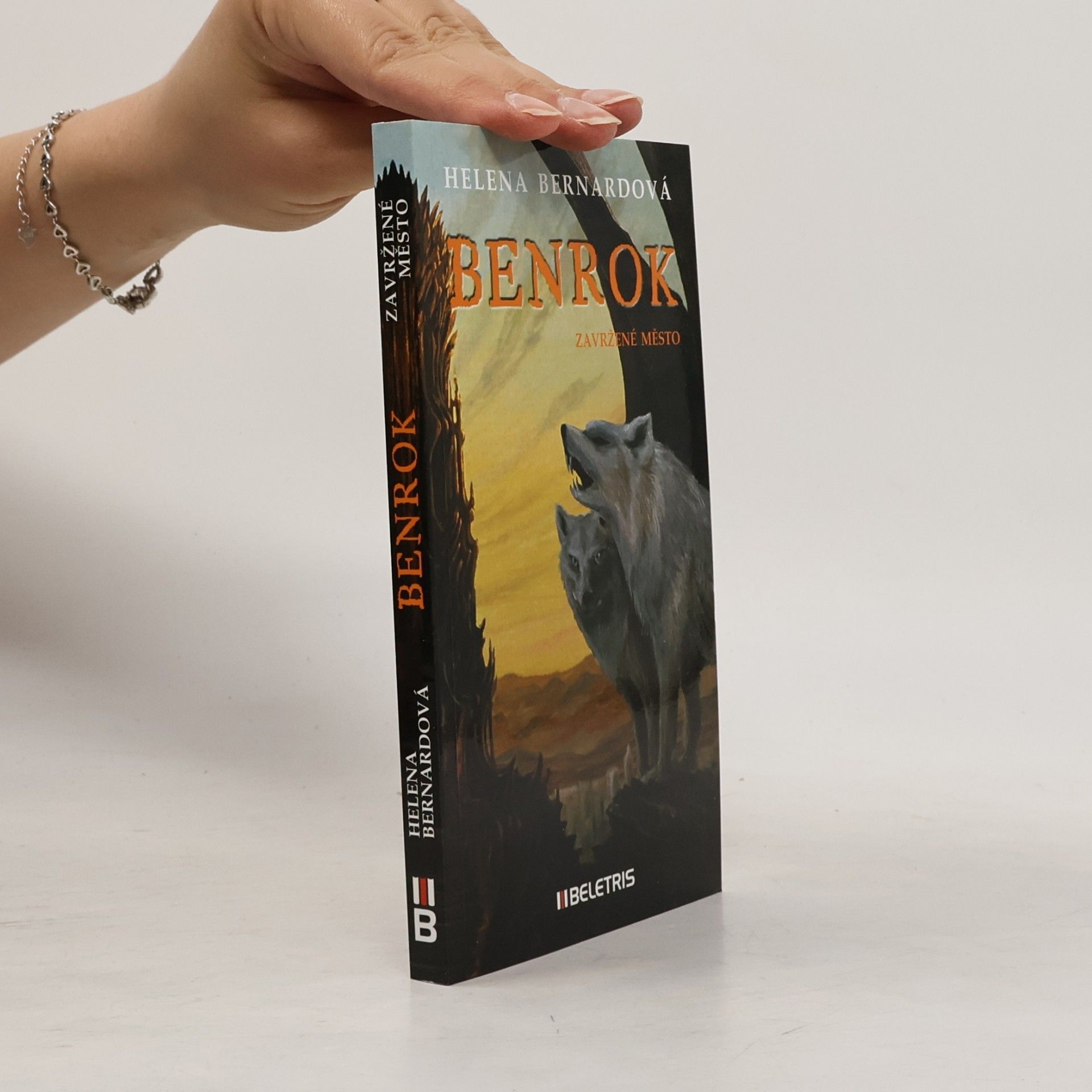 Helena Bernardová Benrok - Zavržené město