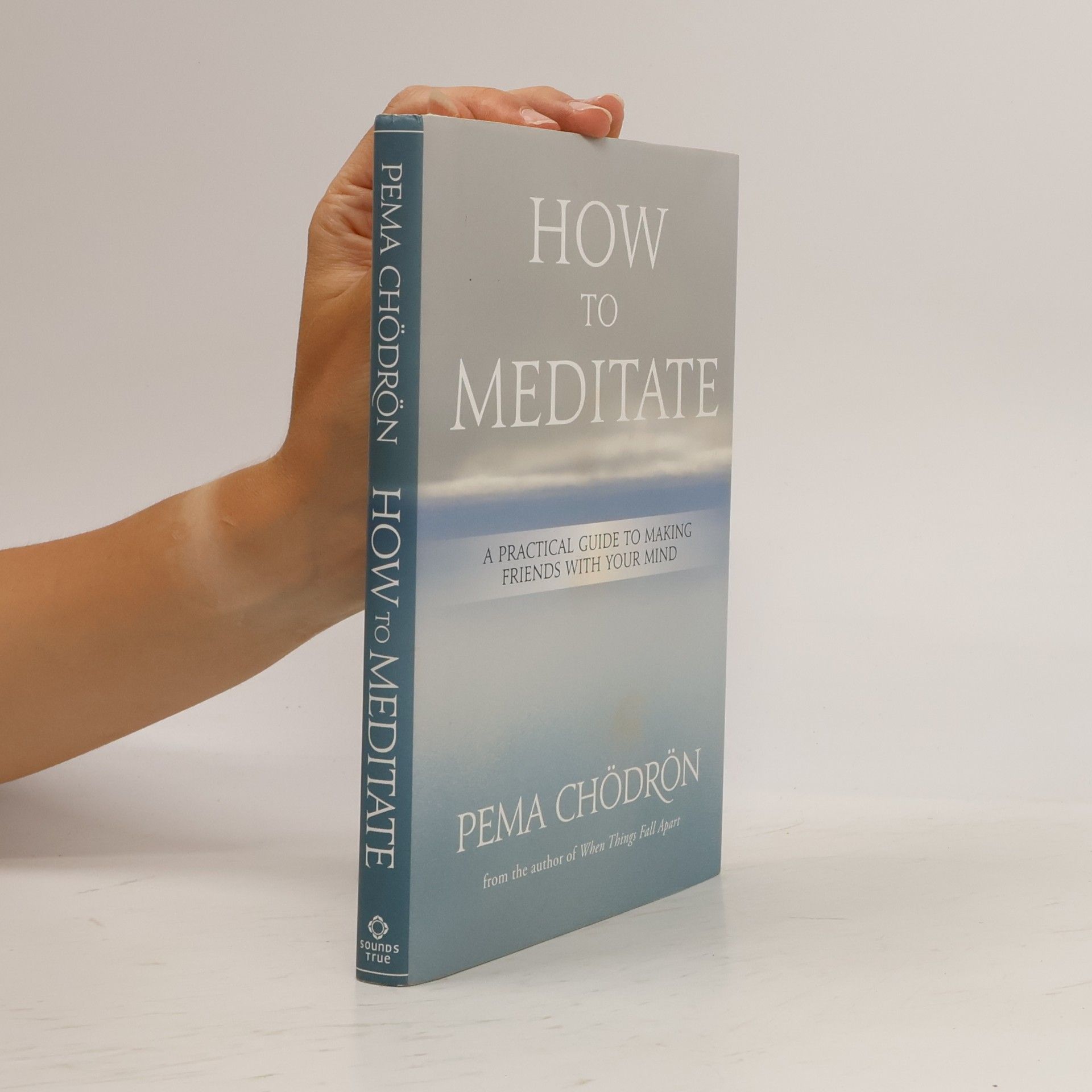 Pema Chödrön How to Meditate