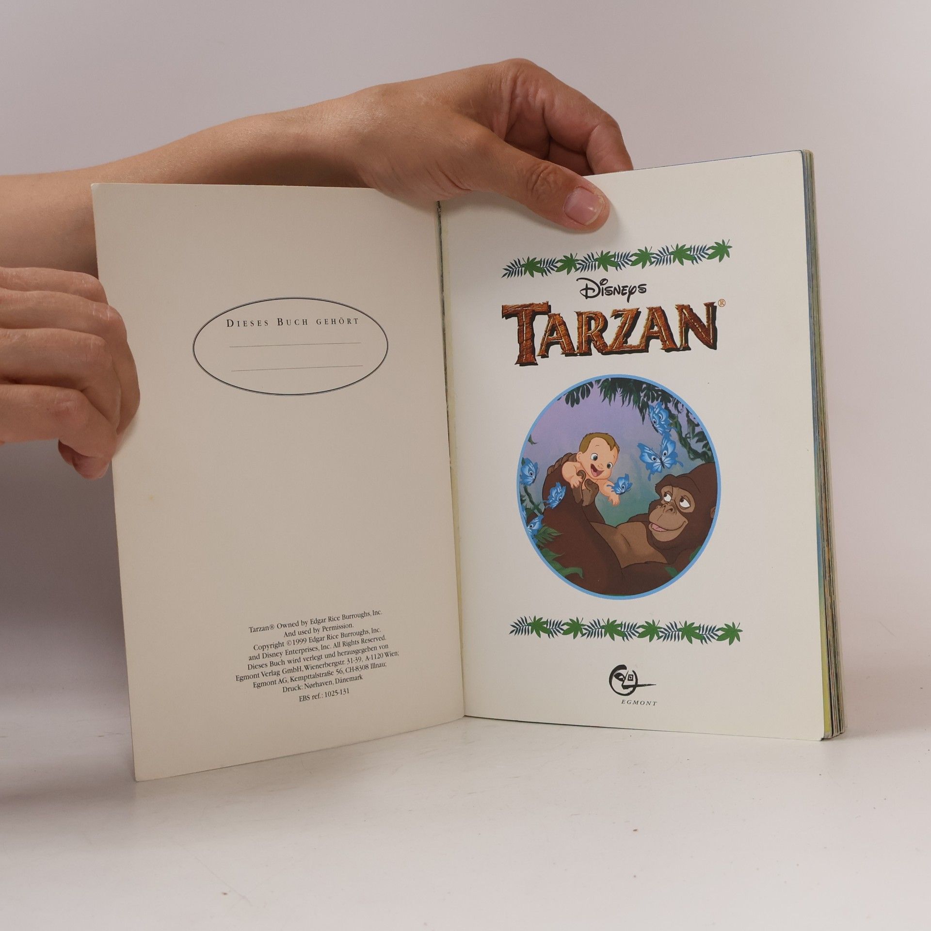 Edgar Burroughs Disney's Tarzan