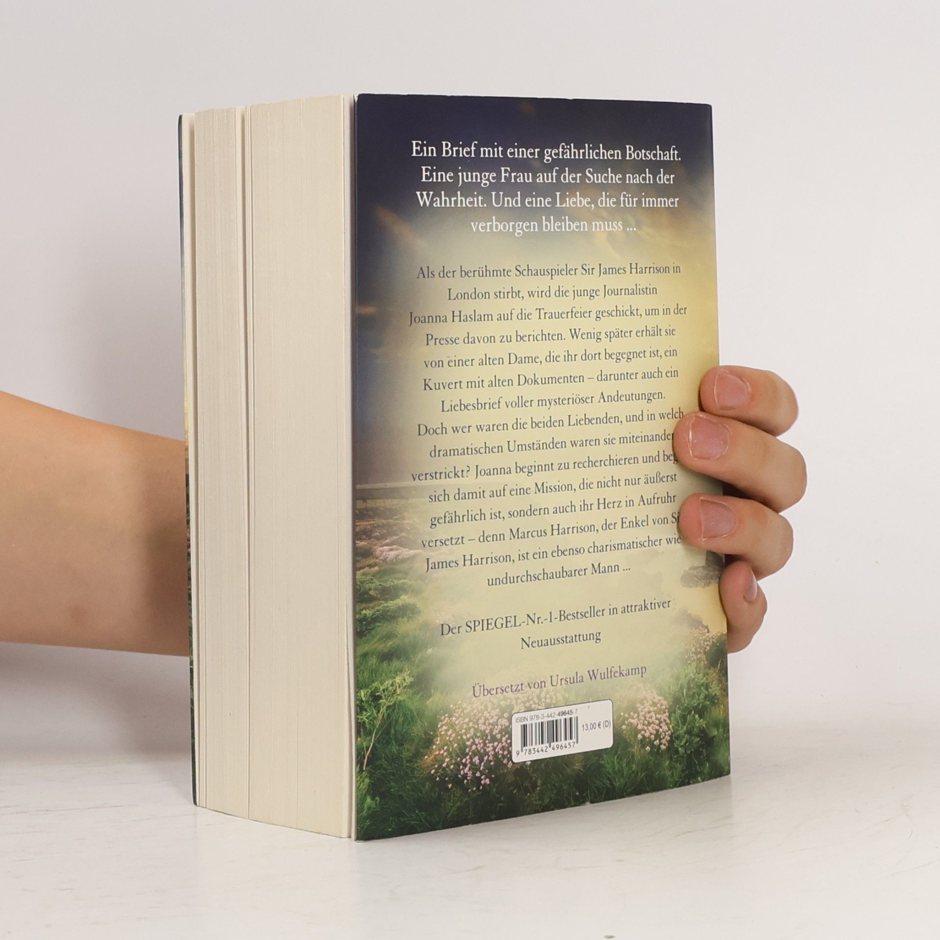 Lucinda Riley Der verbotene Liebesbrief