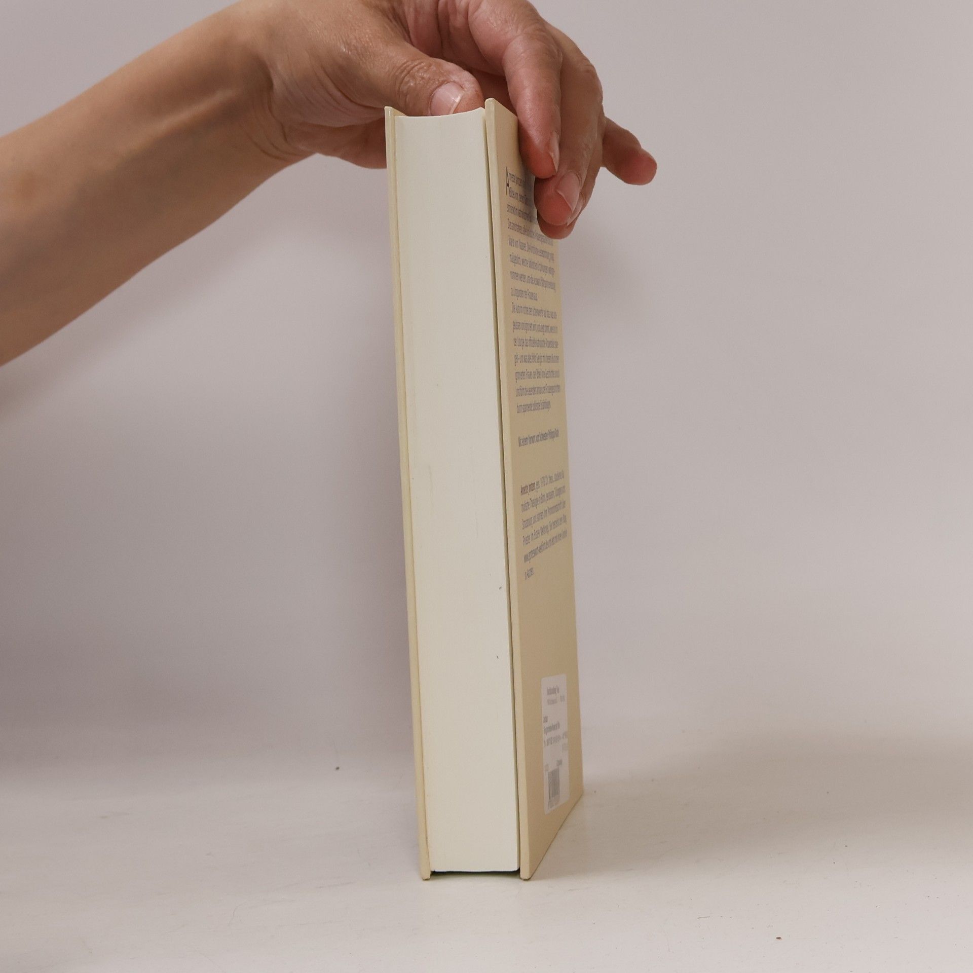 Annette Jantzen Die ignorierten Frauen der Bibel