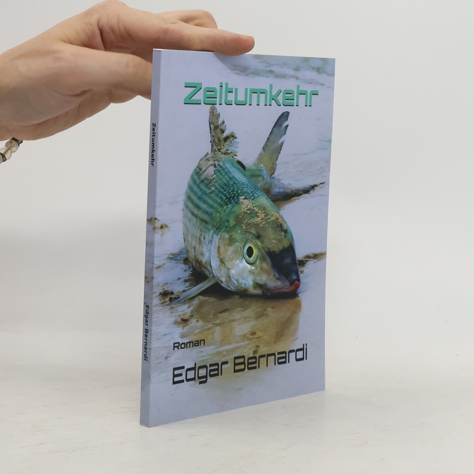 Zeitumkehr: Roman
