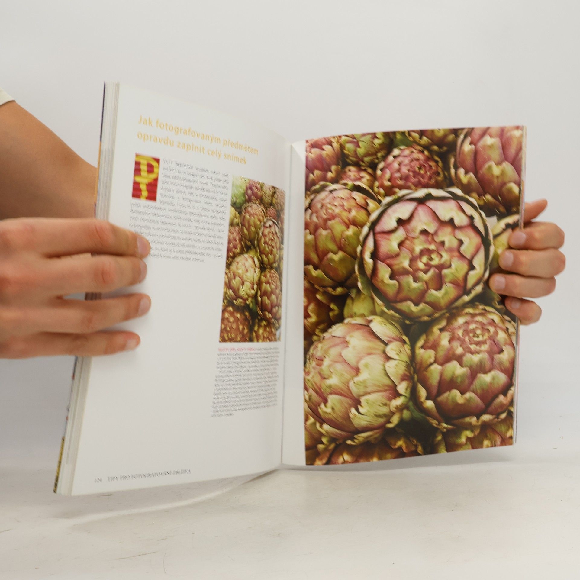 Bryan Peterson Naučte se fotografovat detail kreativně