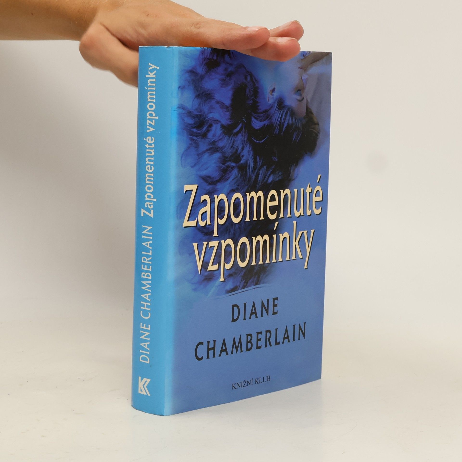 Diane Chamberlain Zapomenuté vzpomínky