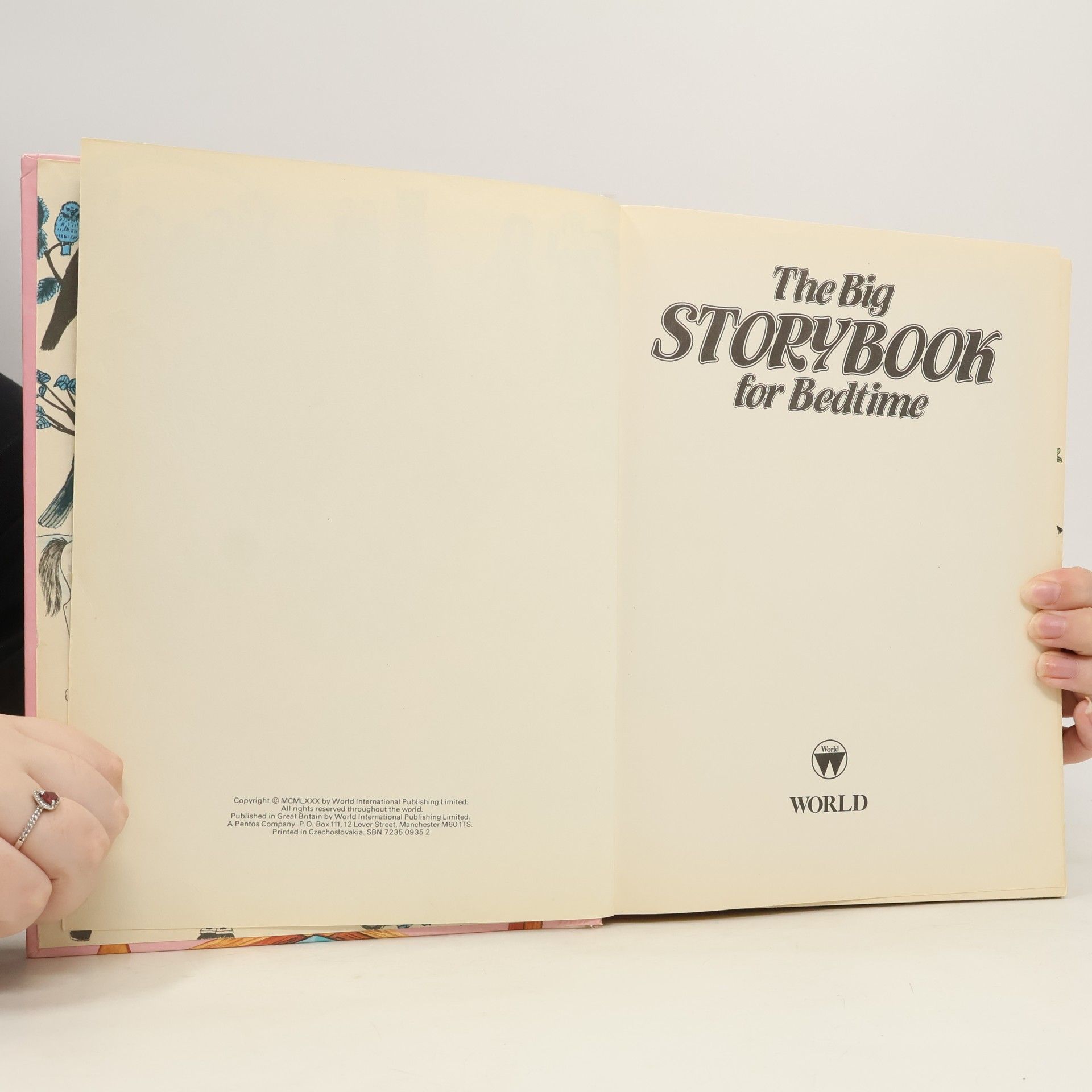Kolektiv autorů The Big Storybook for Bedtime