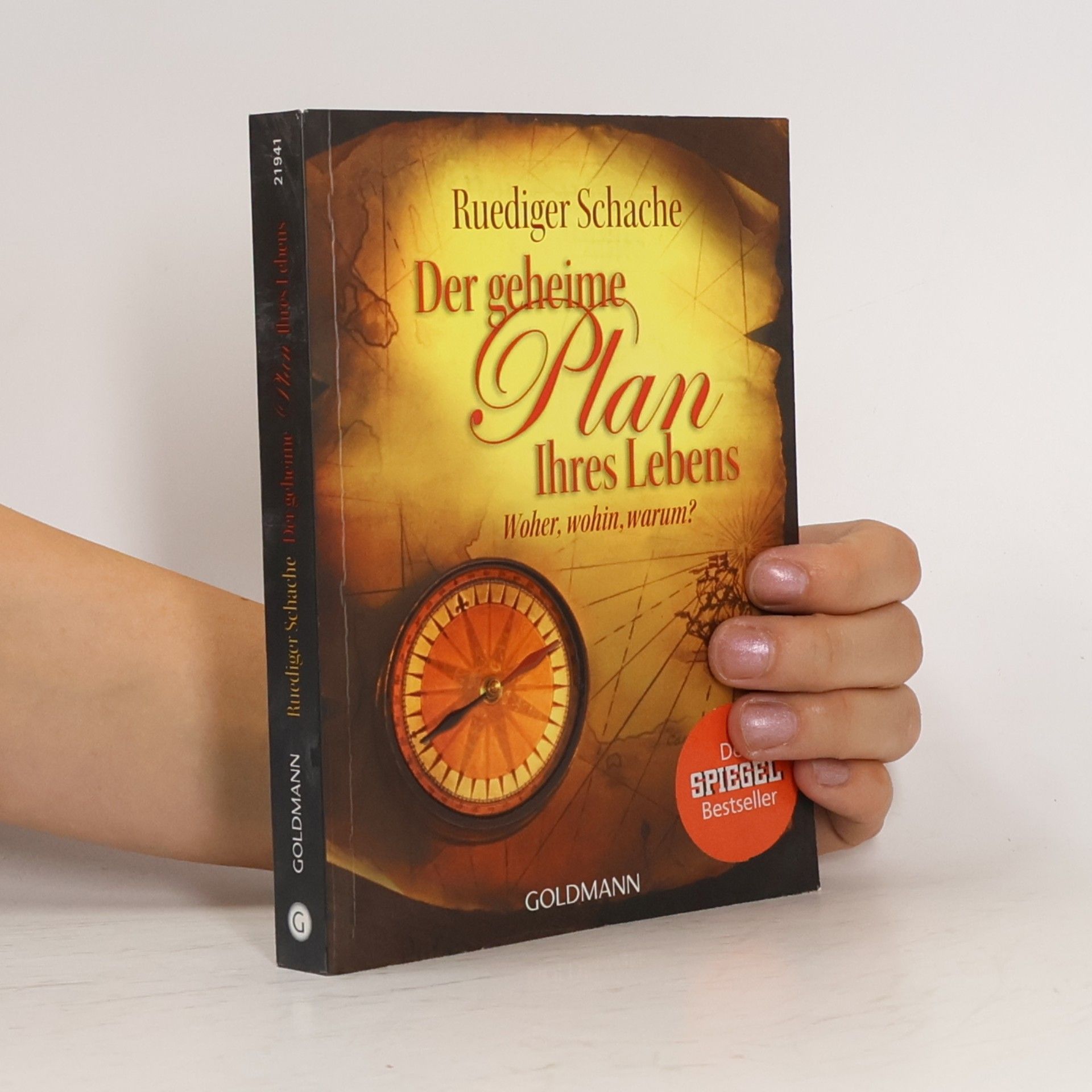 Ruediger Schache Der geheime Plan Ihres Lebens