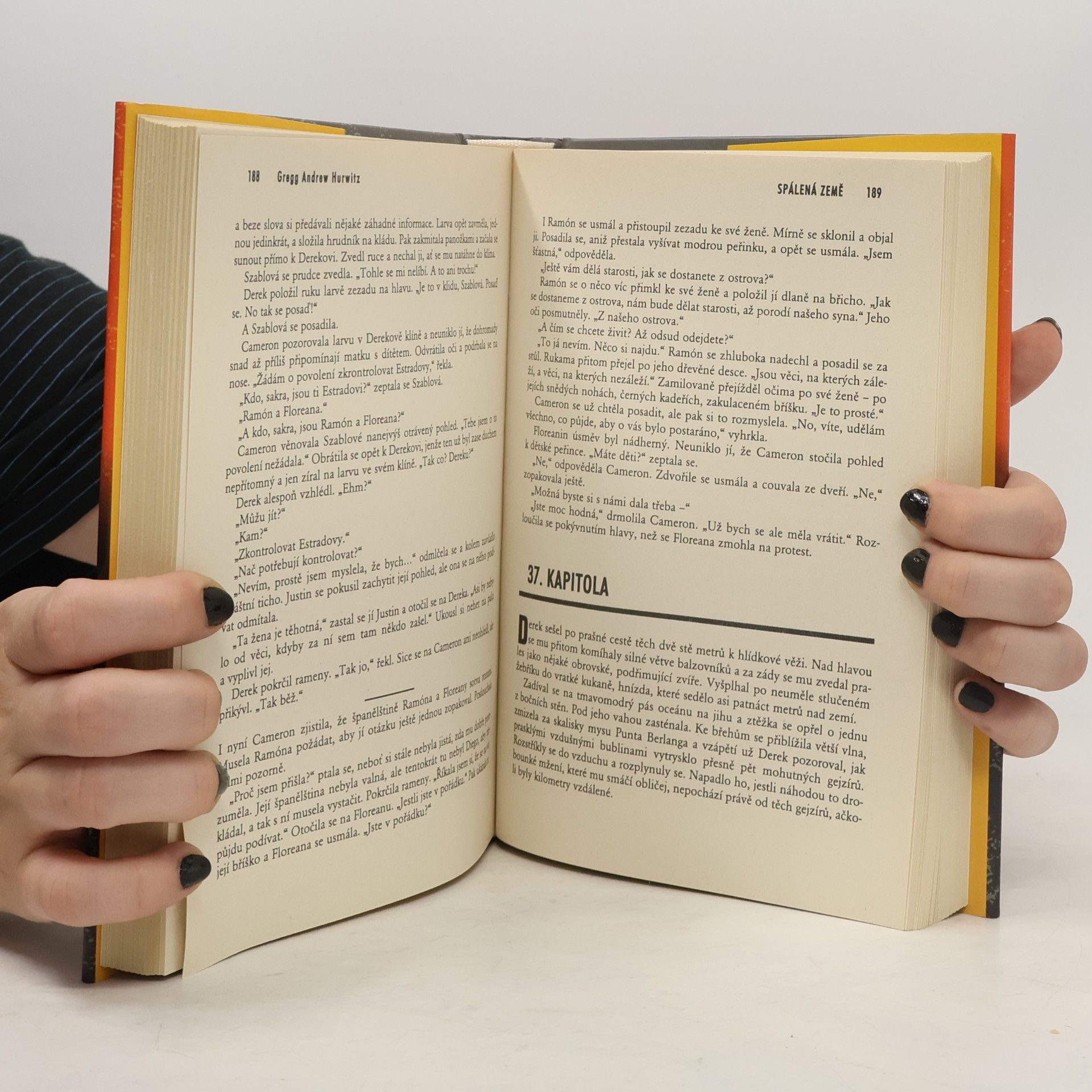 Gregg Hurwitz Spálená země