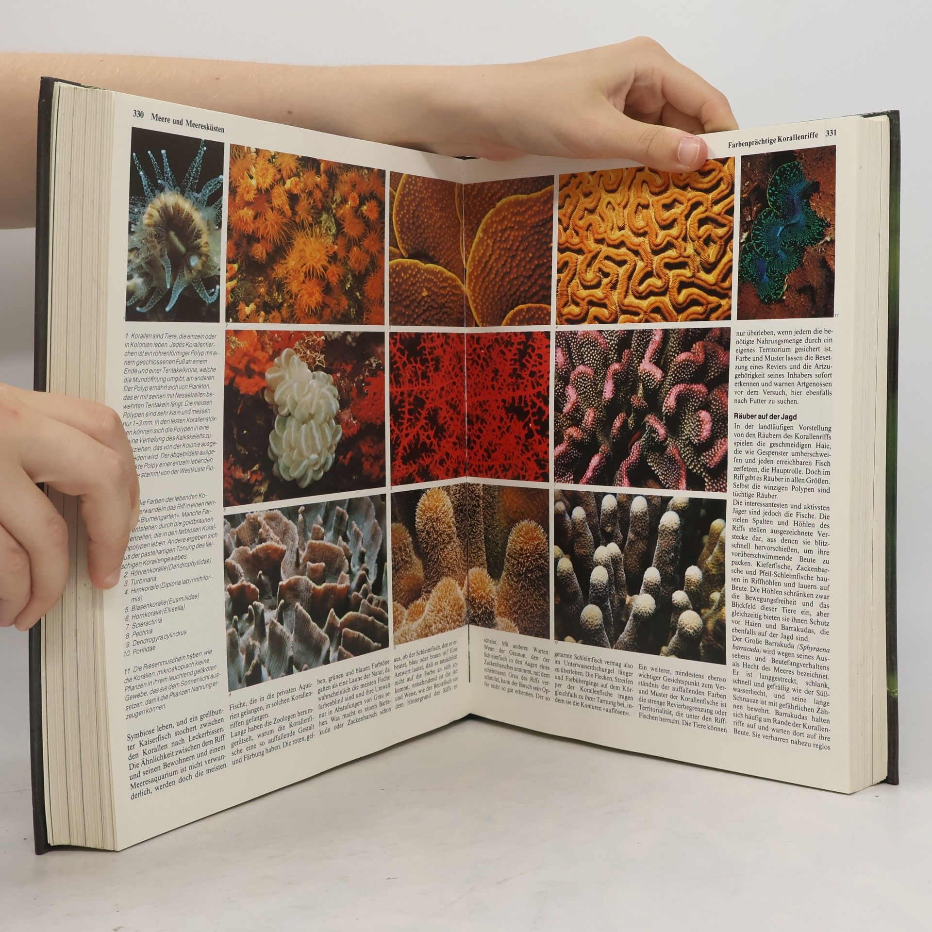 Heinz Sielmann Das grosse Buch der Tierwelt
