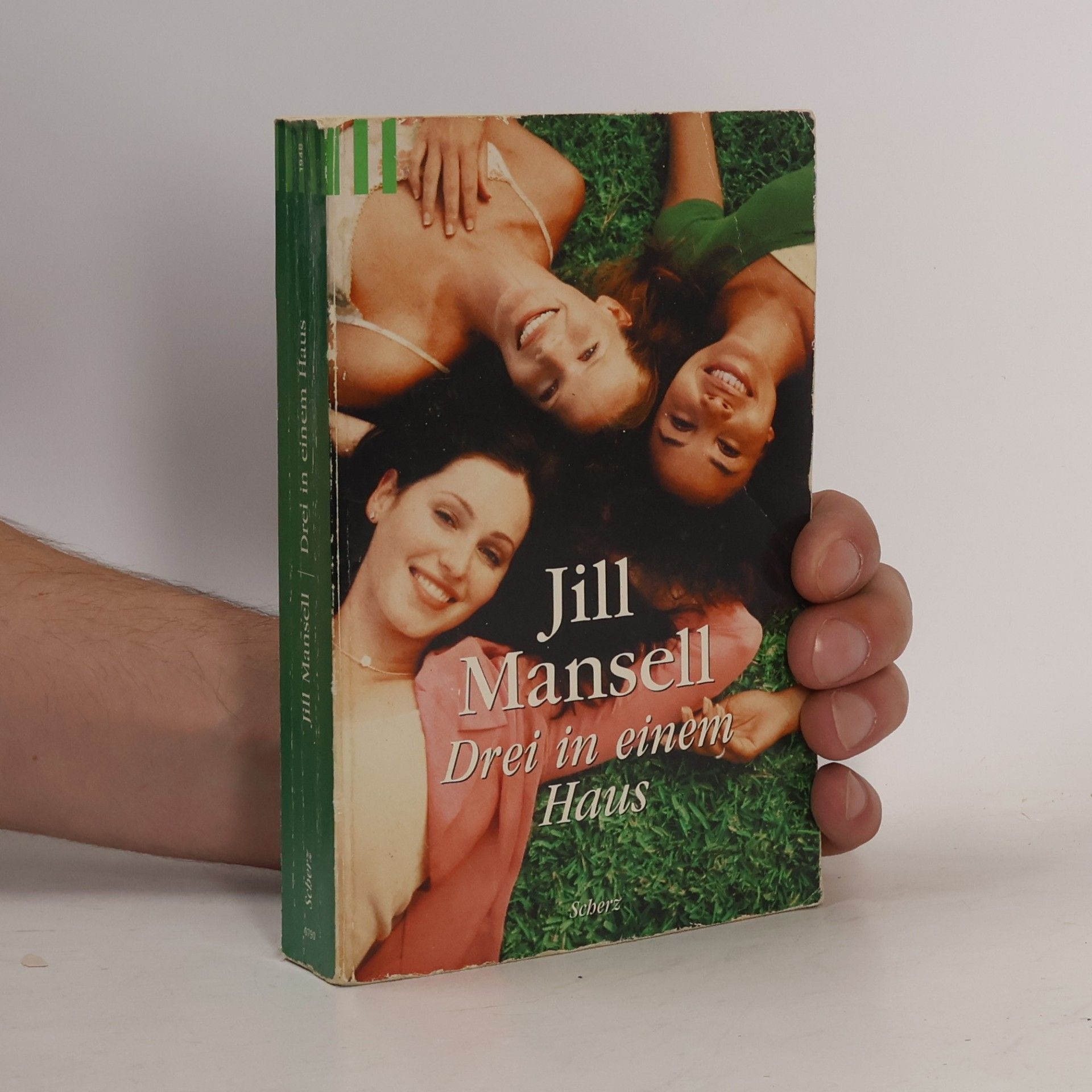 Jill Mansell Drei in einem Haus