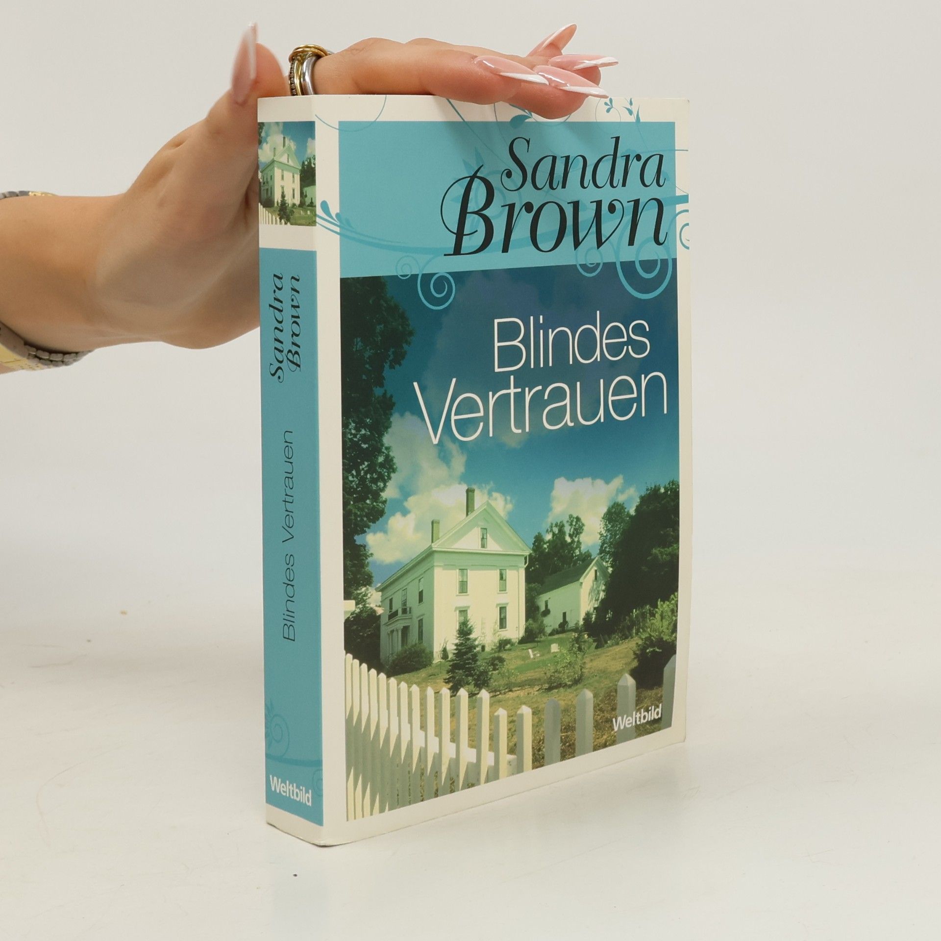 Sandra Brown Blindes Vertrauen