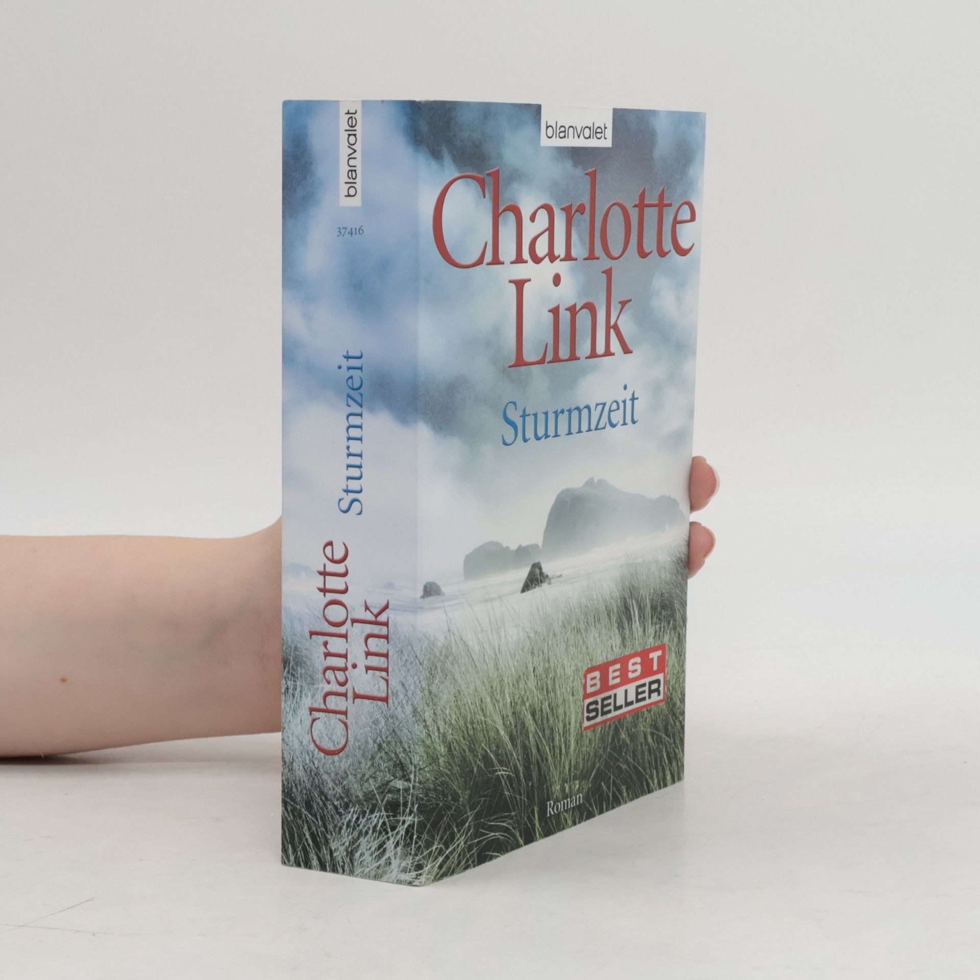Charlotte Link Sturmzeit