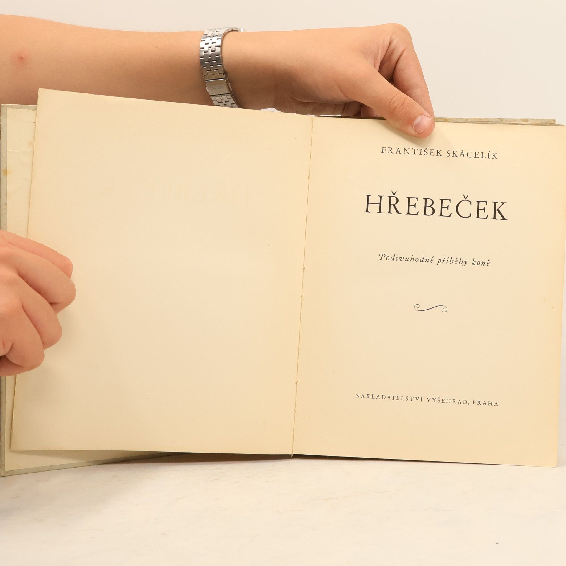 František Skácelík Hřebeček