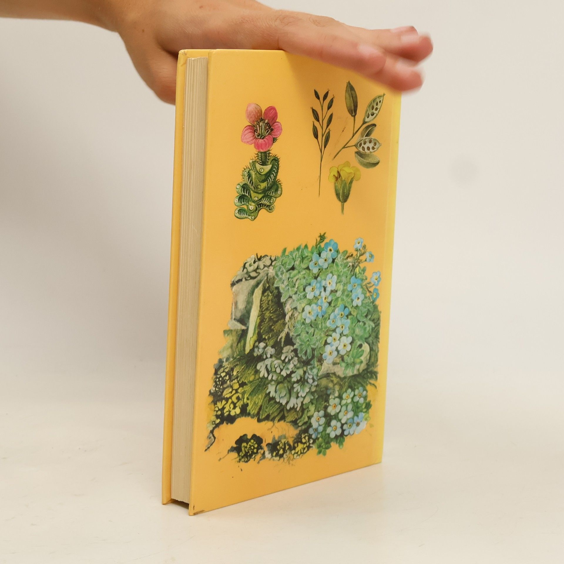 Bohumil Slavík A Colour Guide to Familiar Mountain Flowers