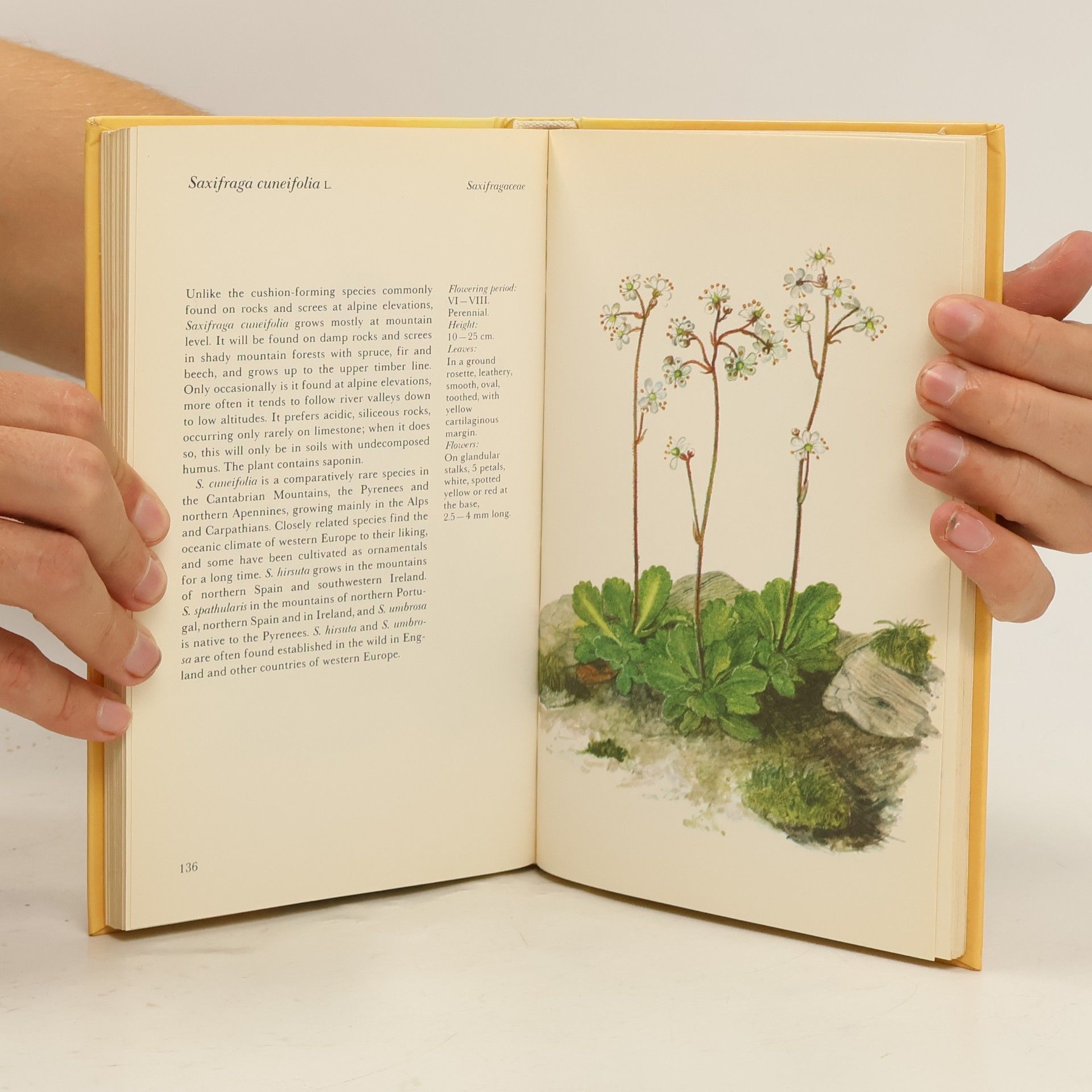 Bohumil Slavík A Colour Guide to Familiar Mountain Flowers