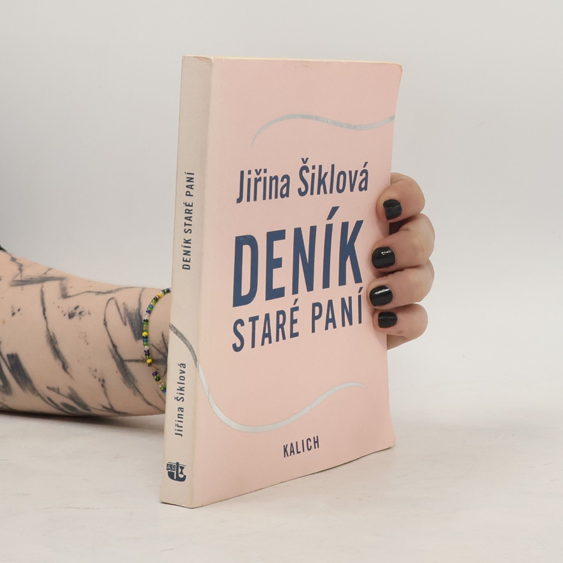 Jiřina Šiklová Deník staré paní