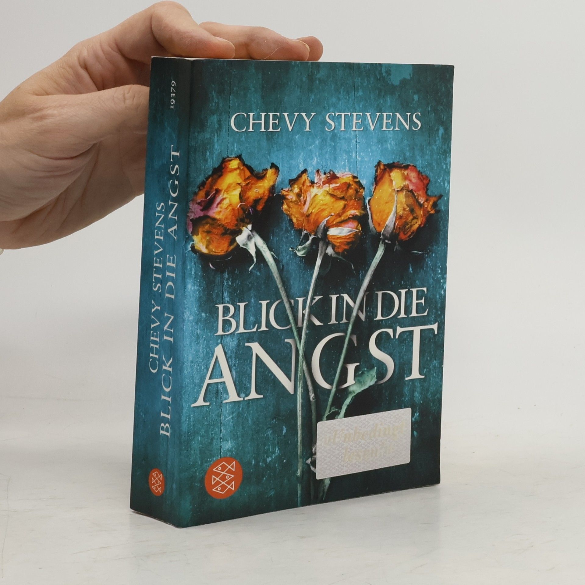 Chevy Stevens Blick in die Angst