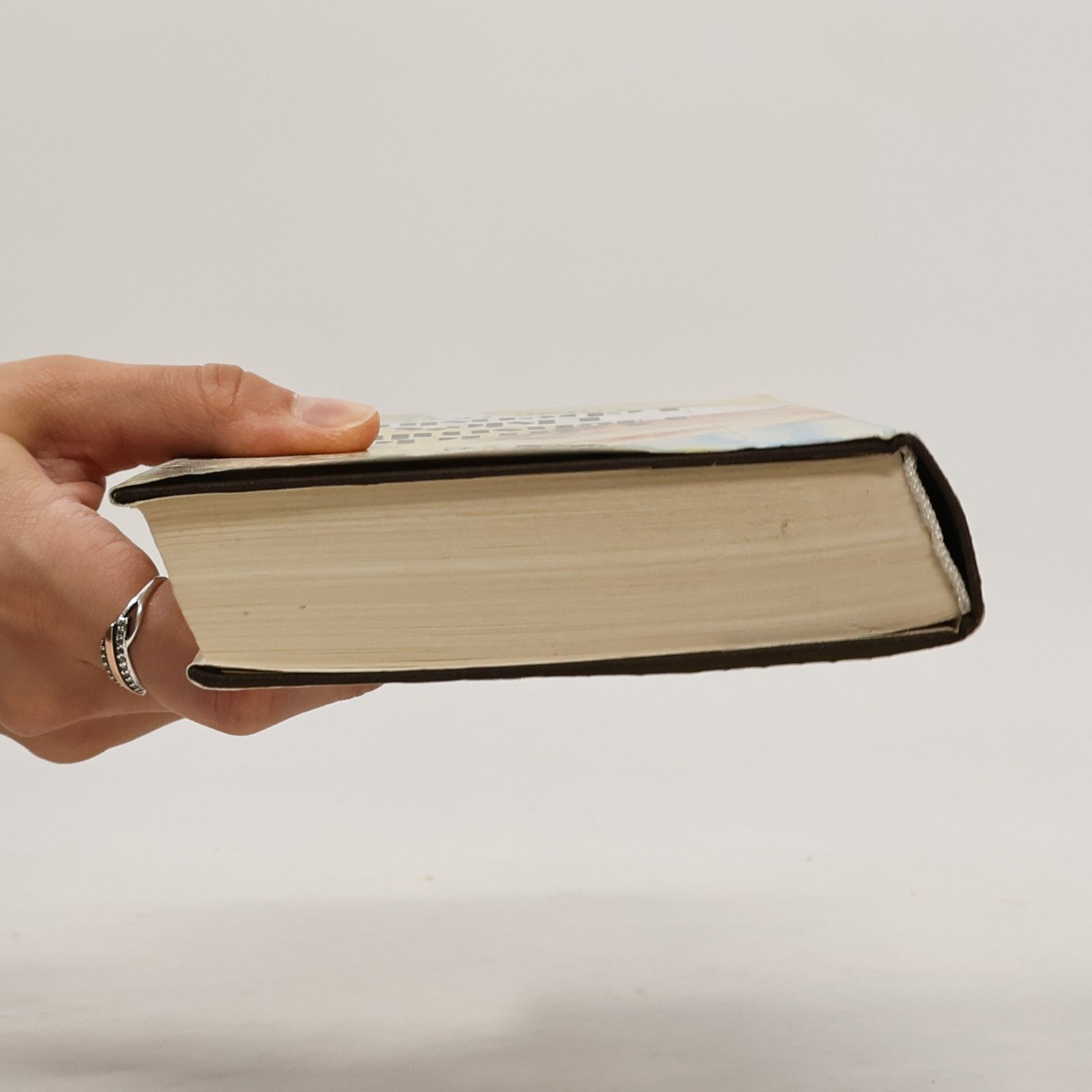 Patricia Highsmith Elsie's Lebenslust