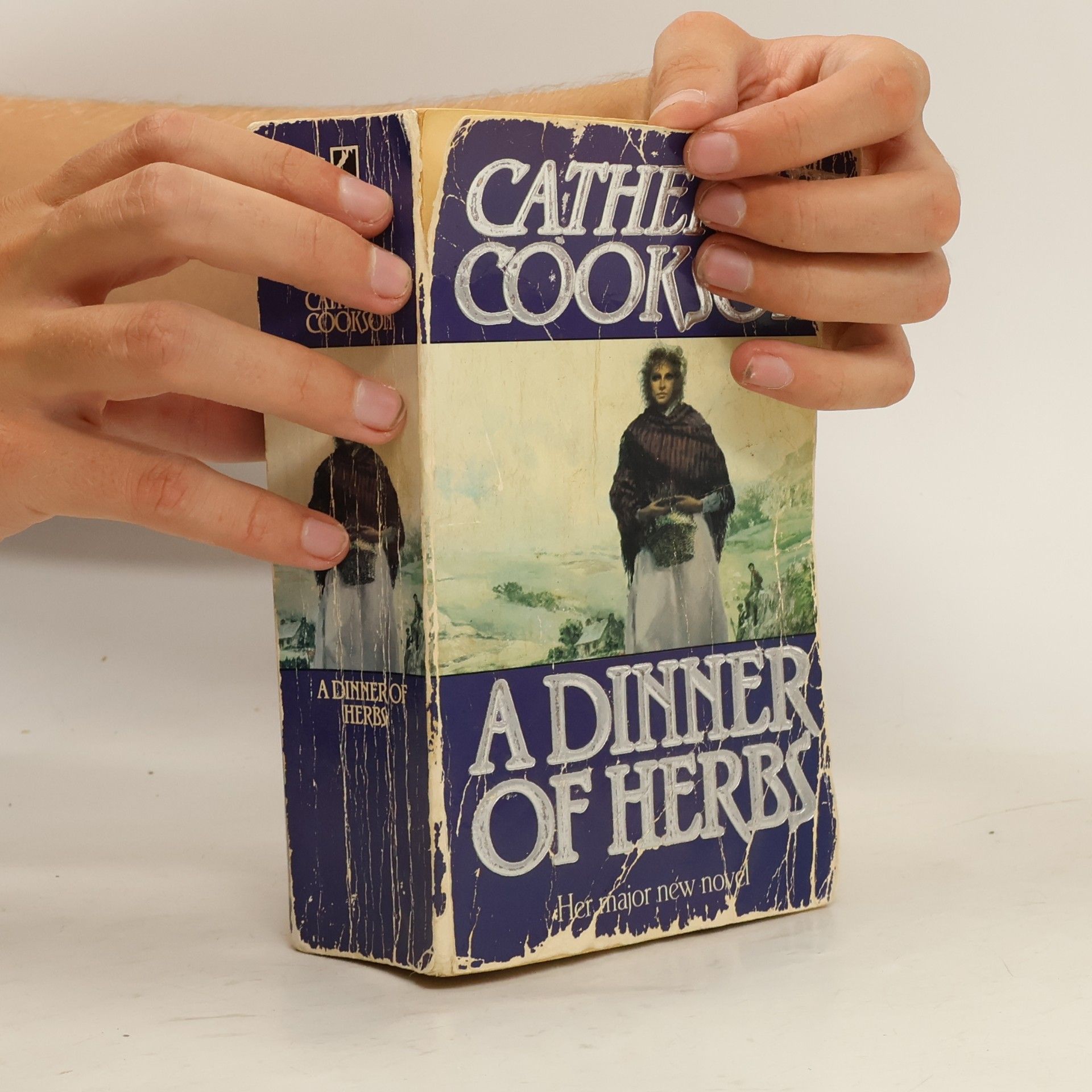Catherine Cookson A Dinner of Herbs