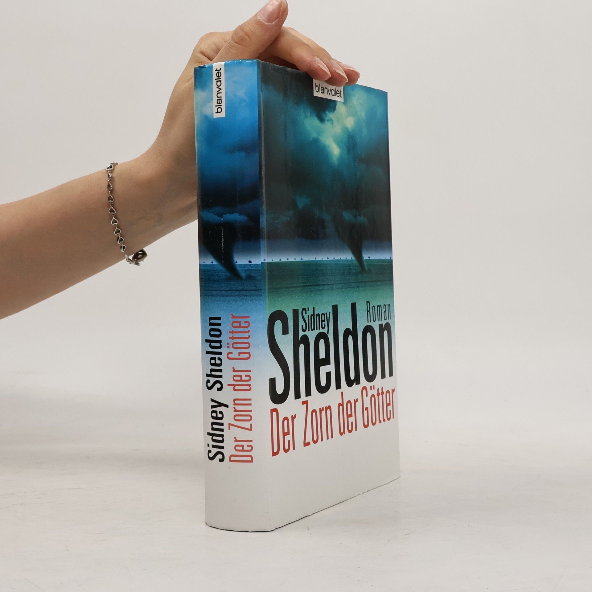 Sidney Sheldon Der Zorn der Götter