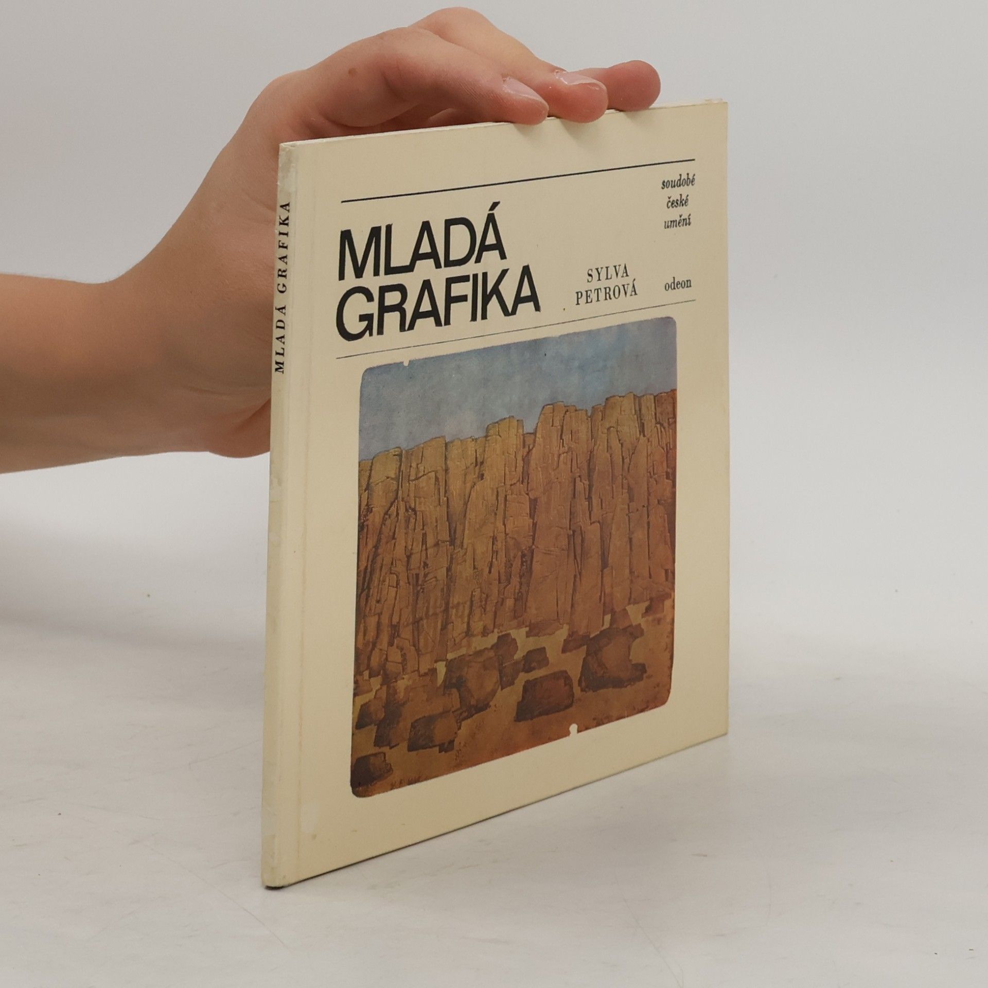 Mladá grafika