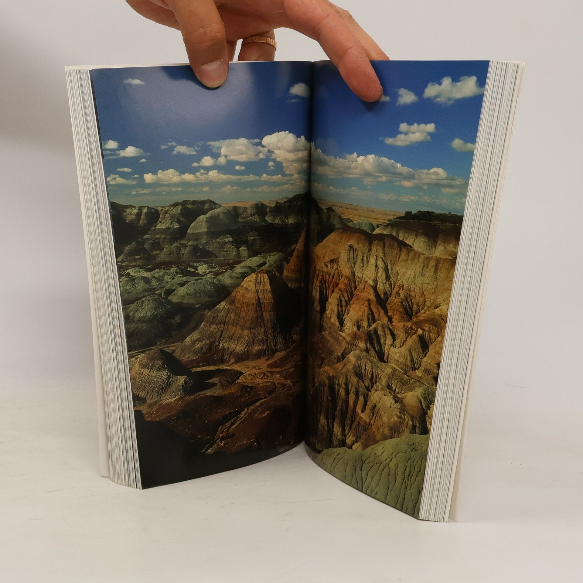 Michael Schelling Durham The Desert States