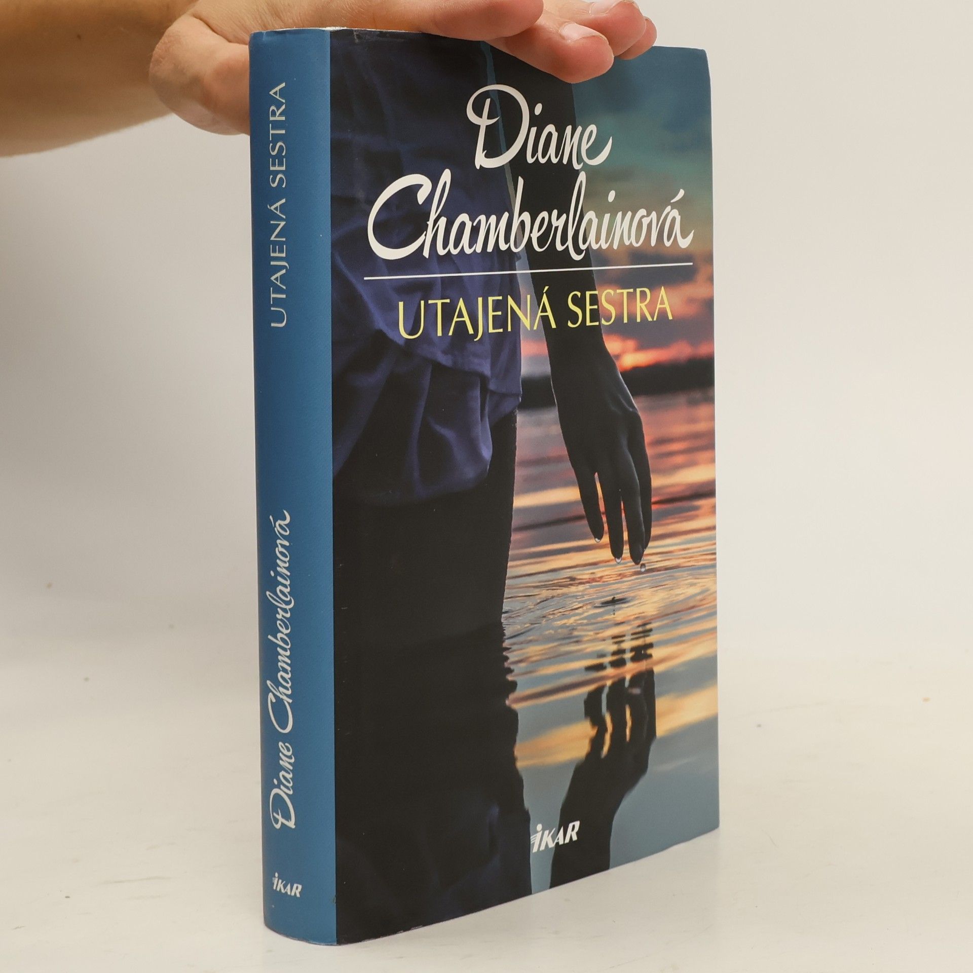 Diane Chamberlain Utajená sestra