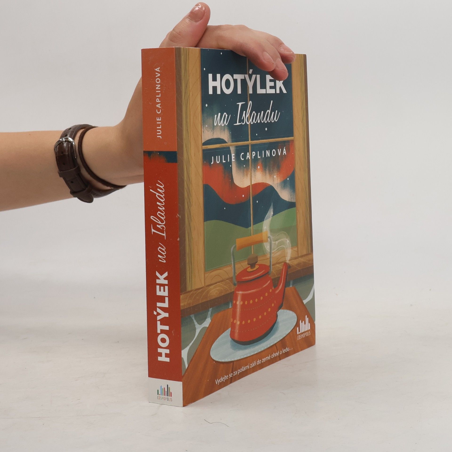 Julie Caplin Hotýlek na Islandu