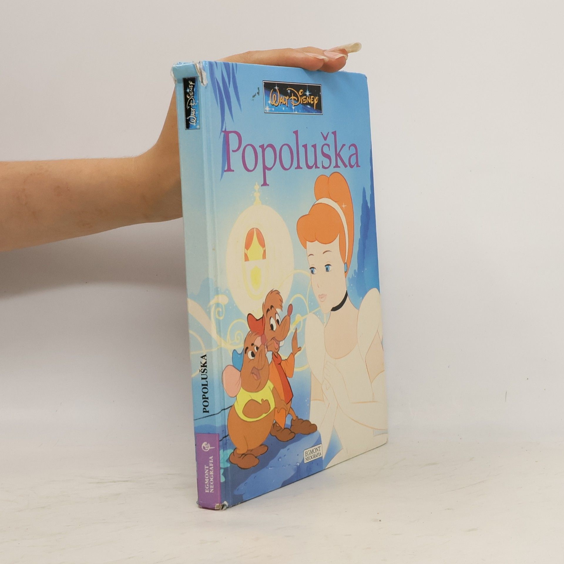 Autorenkollektiv Popoluška