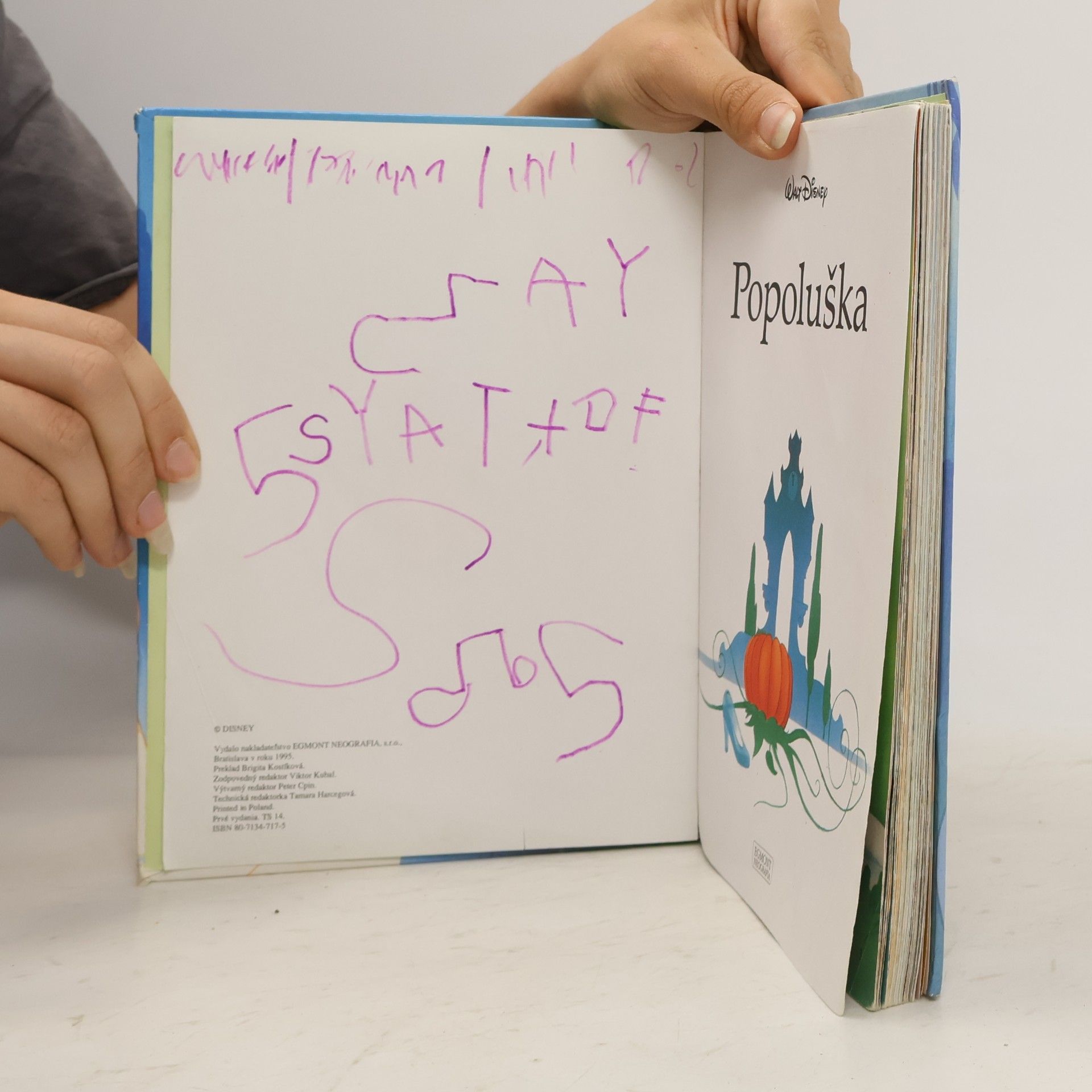 Autorenkollektiv Popoluška