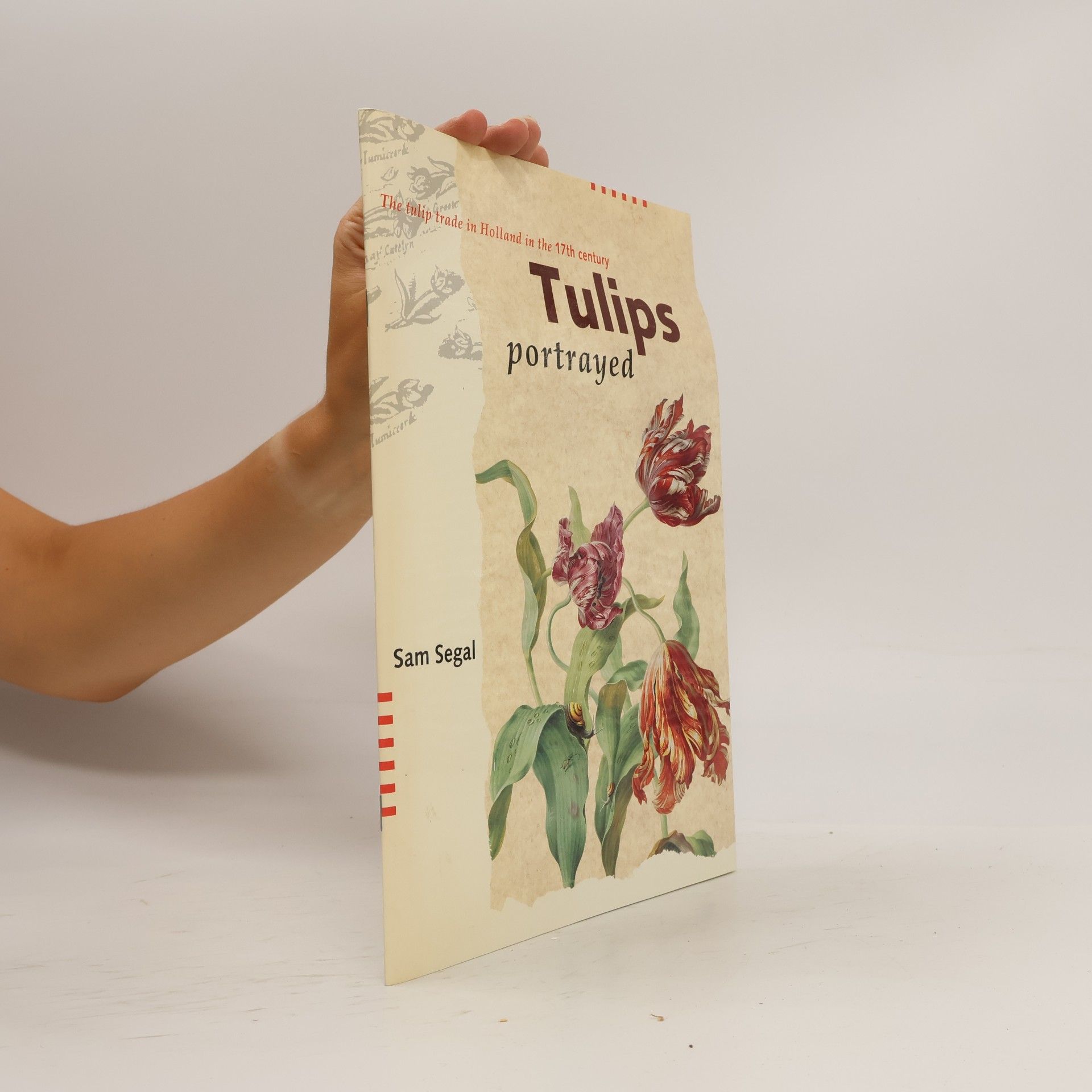 Sam Segal Tulips portrayed