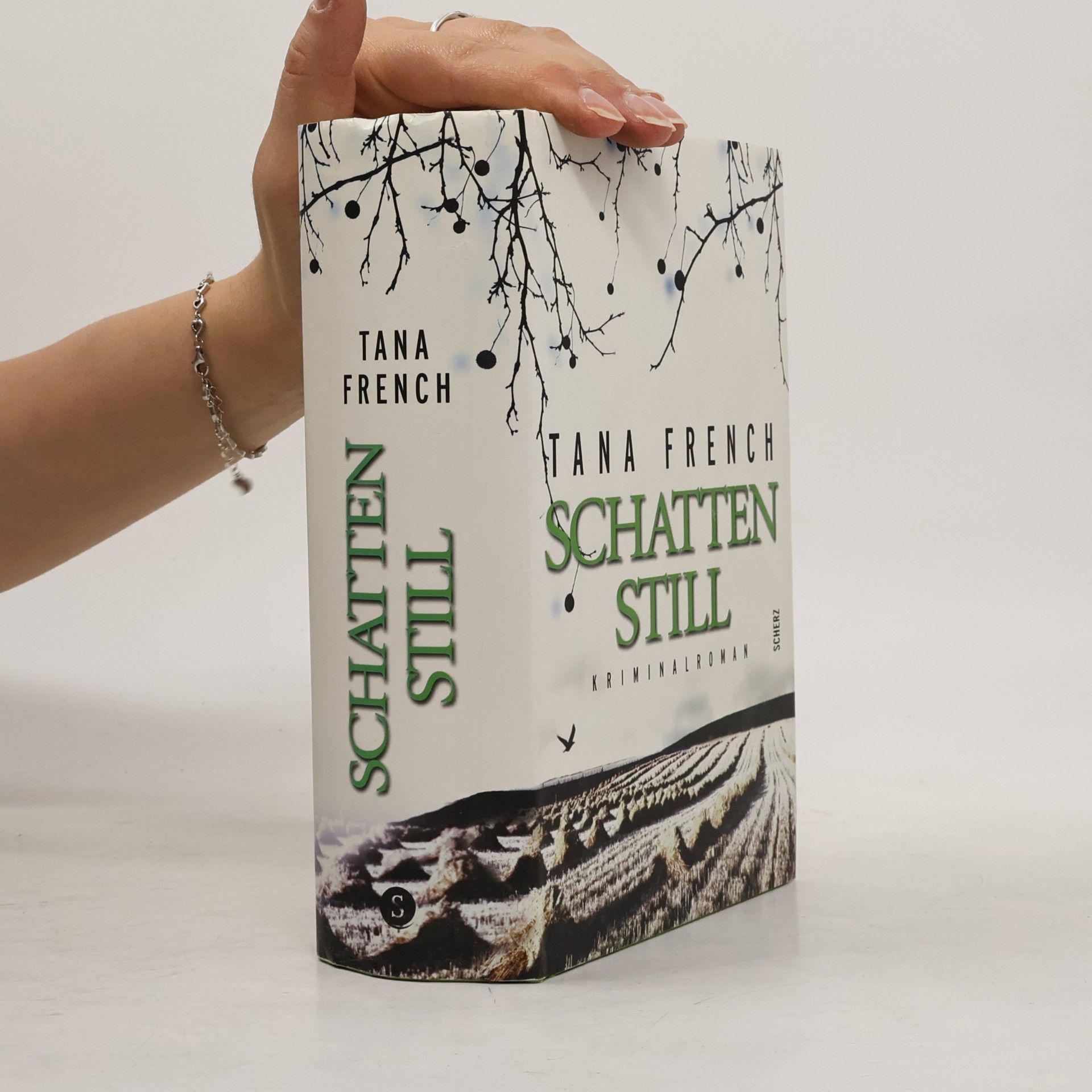 Tana French Schattenstill