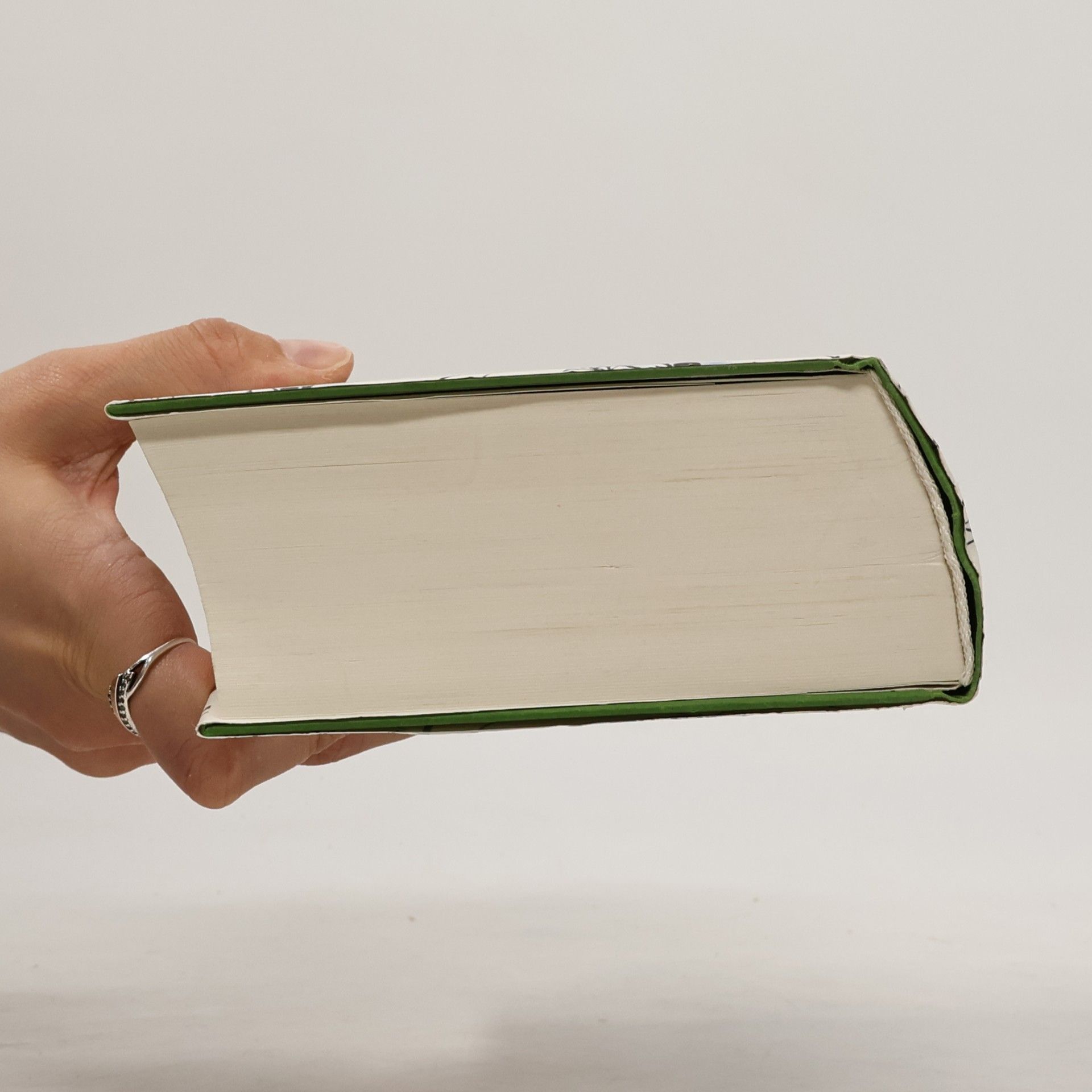 Tana French Schattenstill