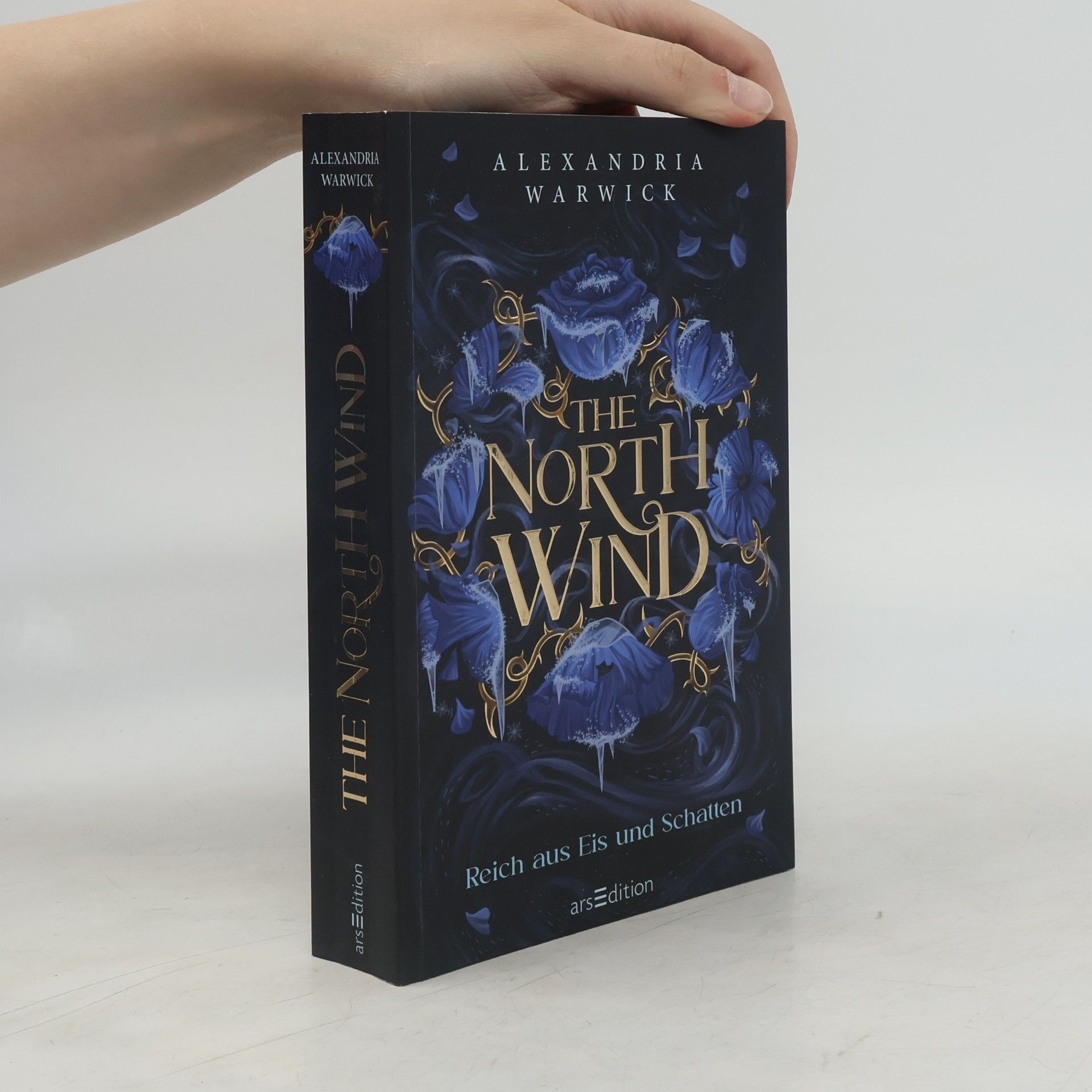 Alexandria Warwick The North Wind - Reich aus Eis und Schatten