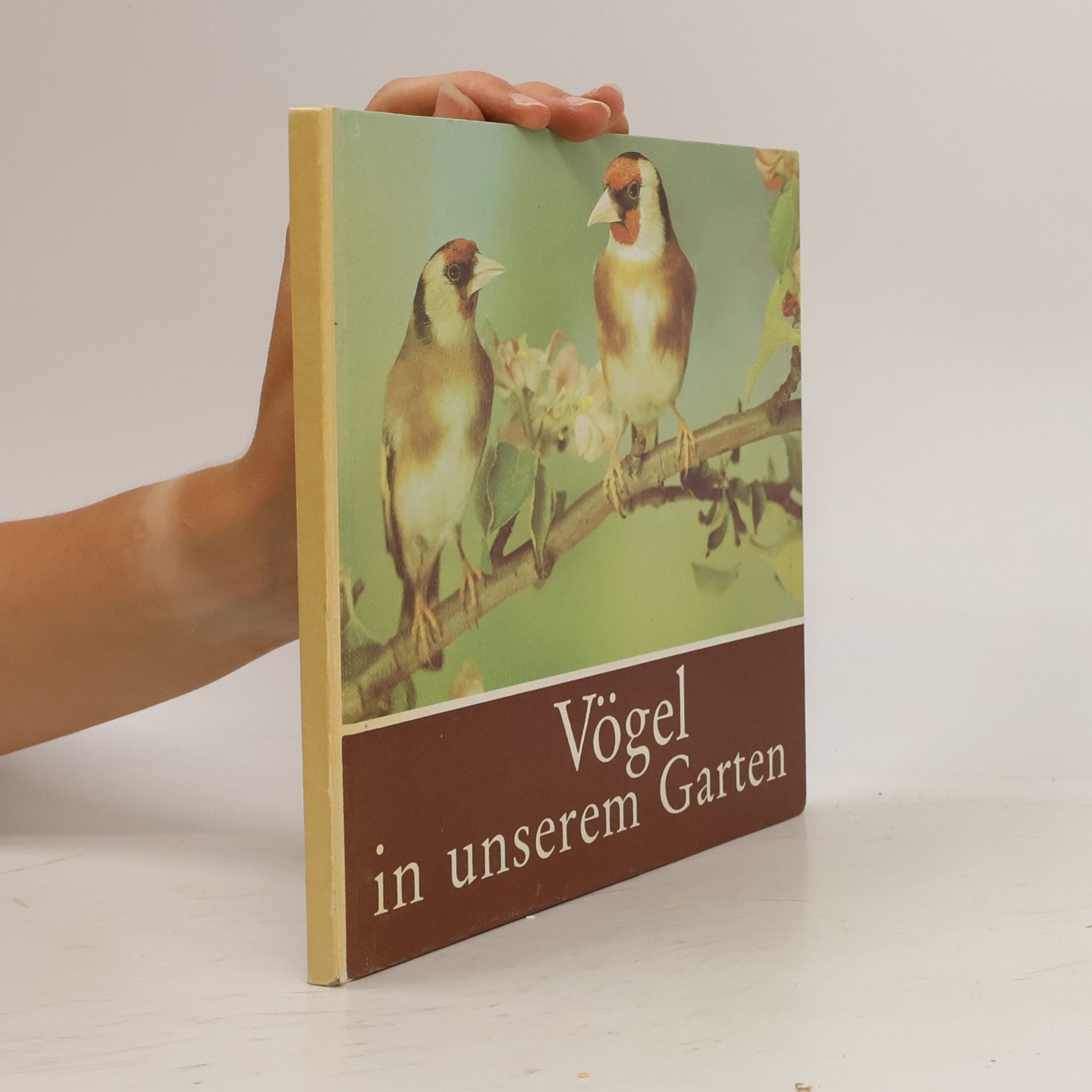 Autorenkollektiv Vögel in unserem Garten